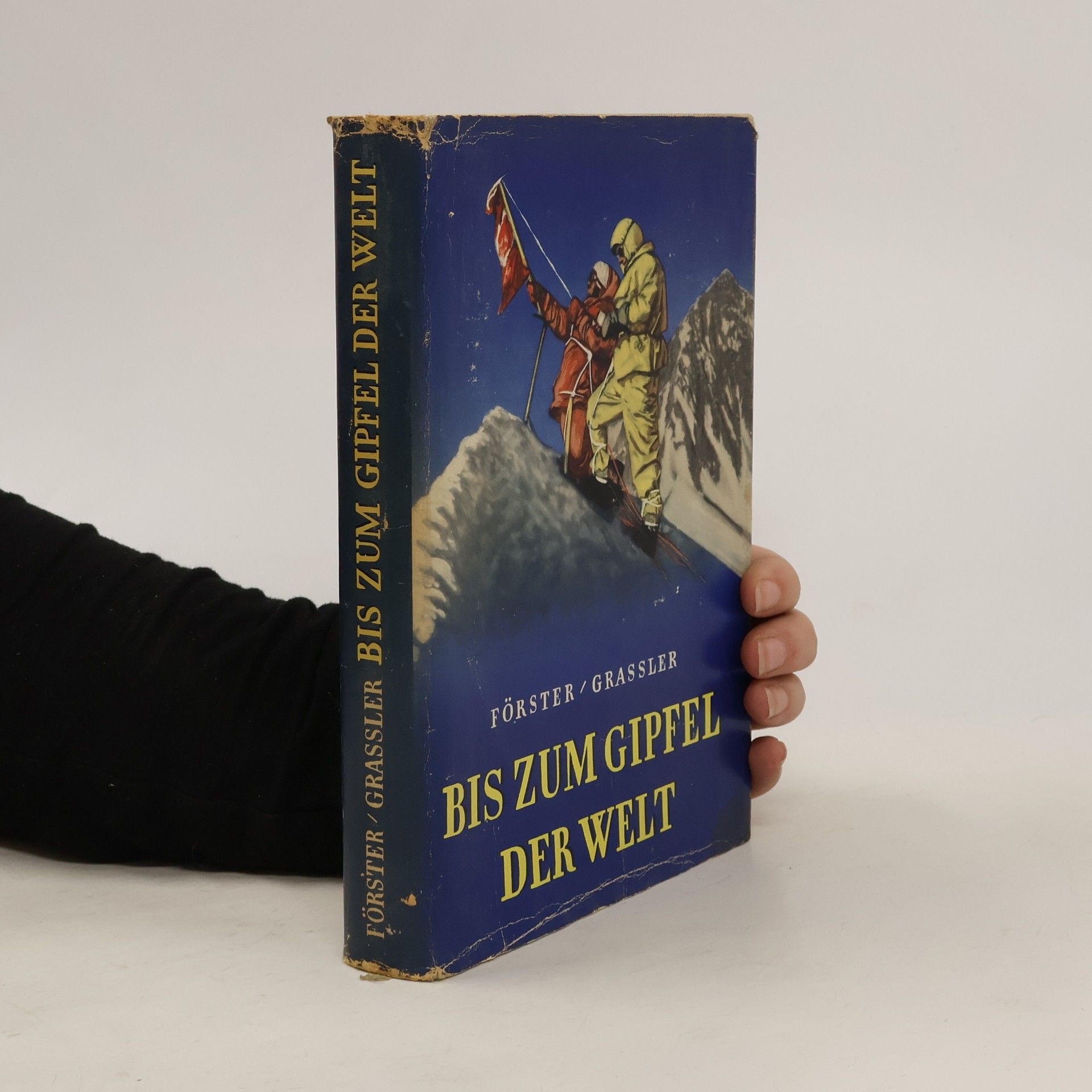 Hans Albert Förster Bis zum Gipfel der Welt