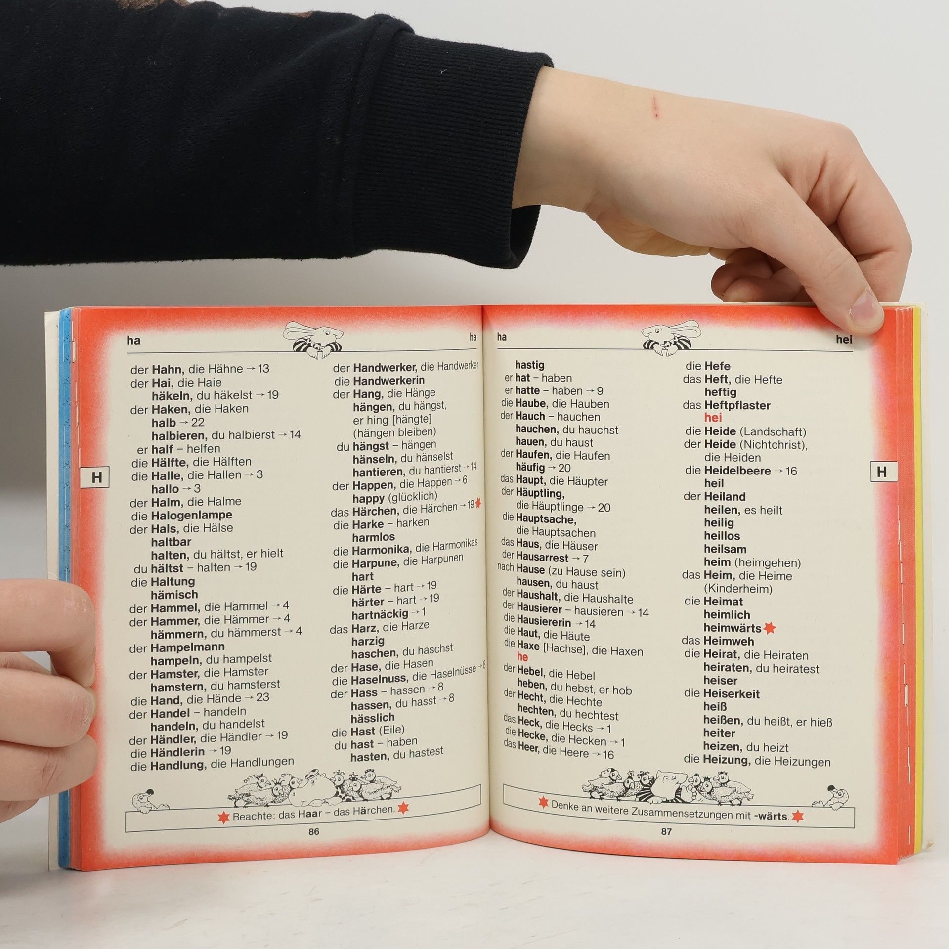 Collectif d'auteurs Findefix - Wörterbuch für die Grundschule