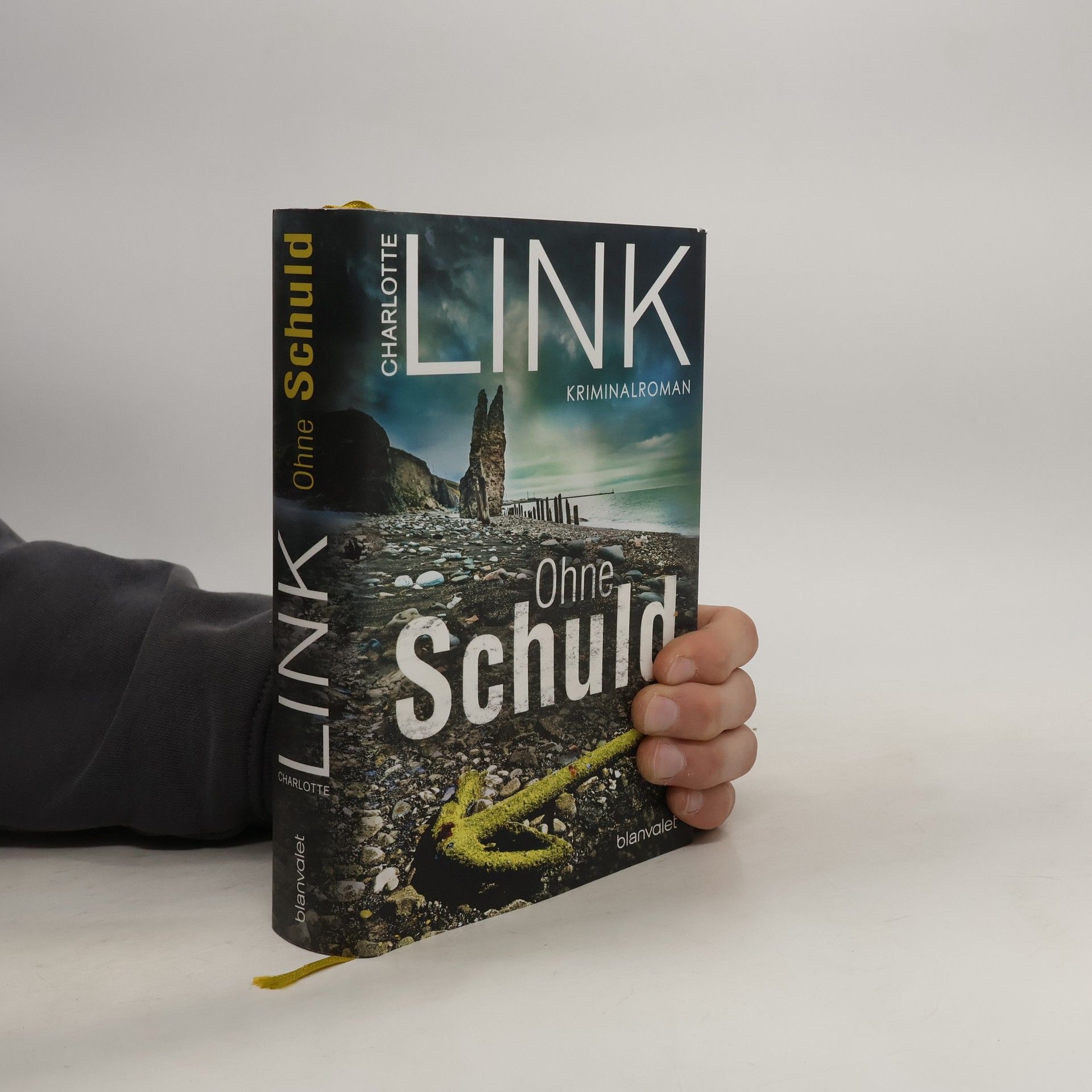 Charlotte Link Ohne Schuld