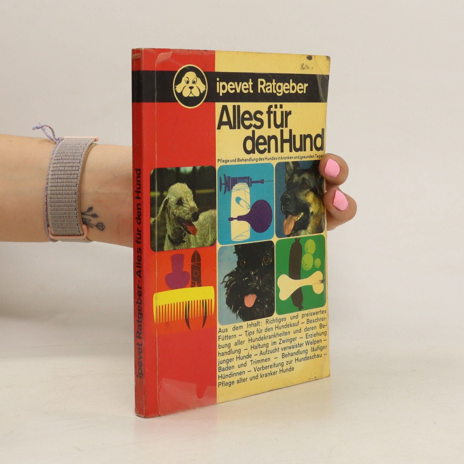 Autorenkollektiv Alles für den Hund