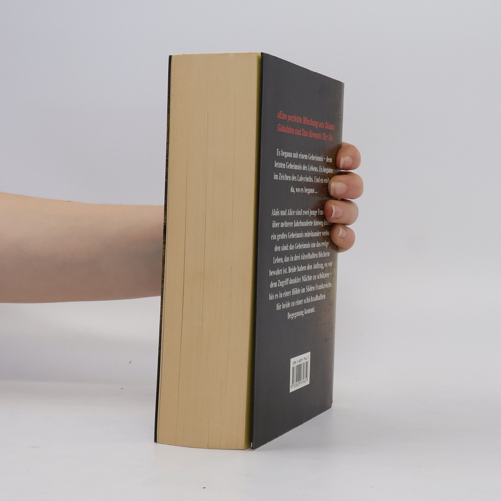 Kate Mosse Das verlorene Labyrinth