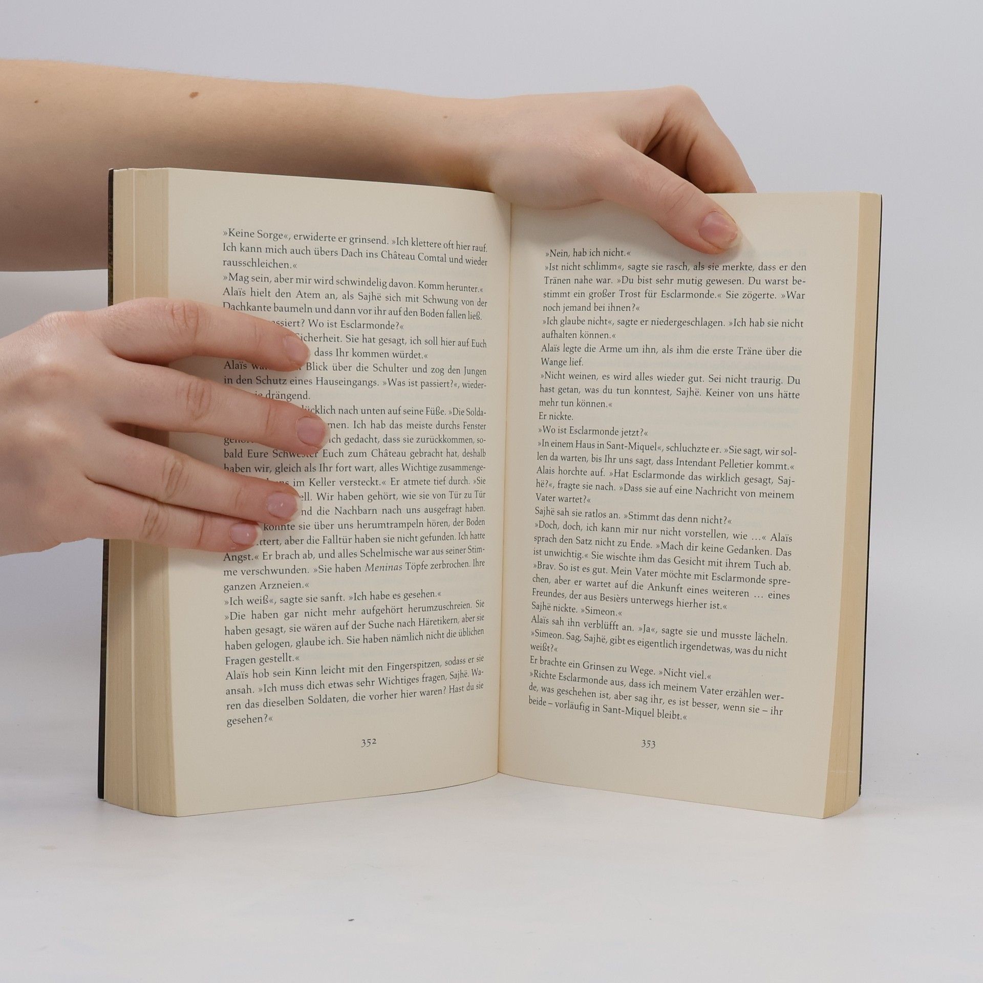 Kate Mosse Das verlorene Labyrinth