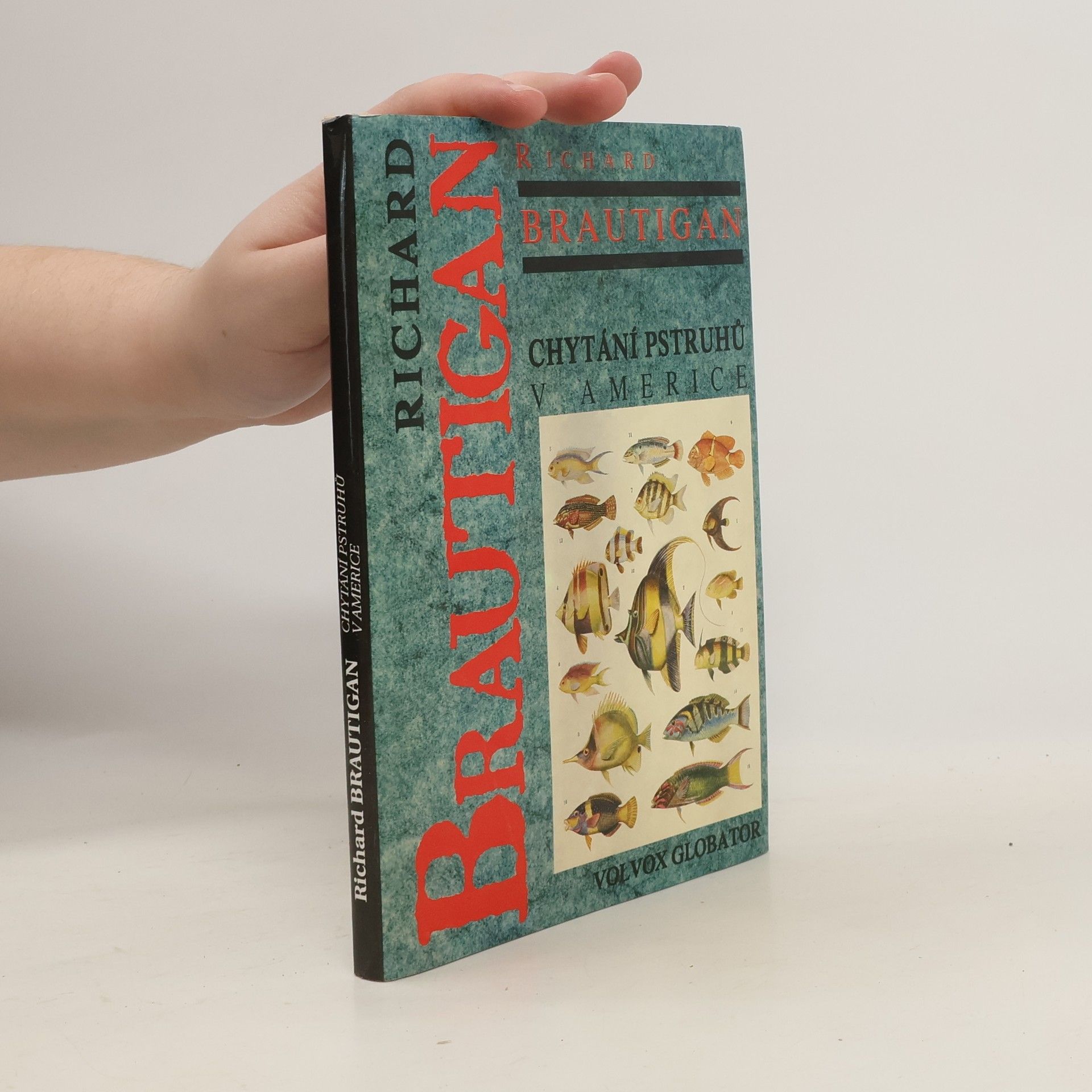 Richard Brautigan Chytání pstruhů v Americe