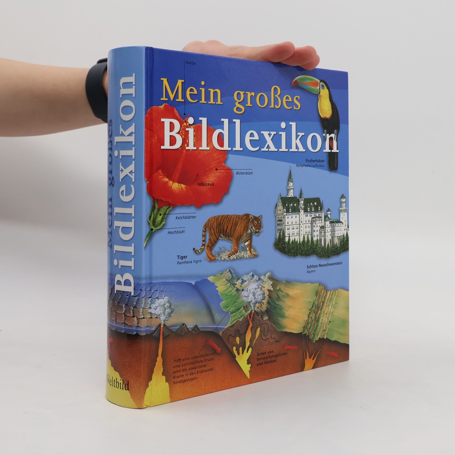 Mein großes Bildlexikon