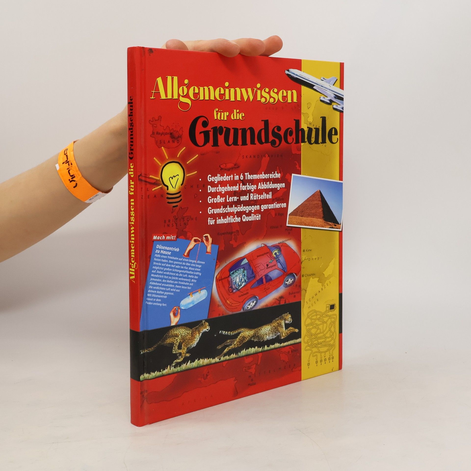 Autorenkollektiv Allgemeinwissen für die Grundschule