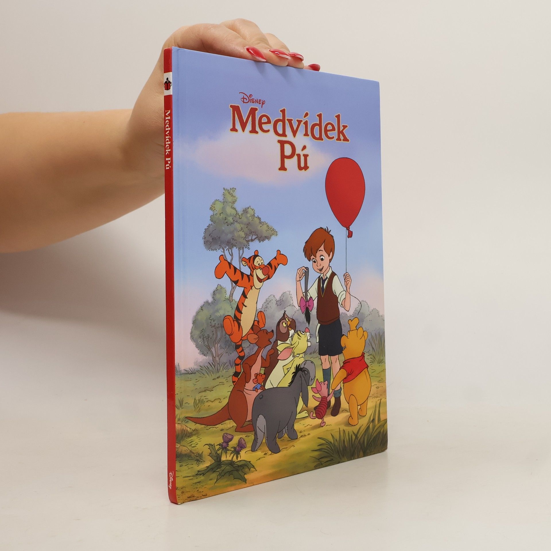 Walt Disney Medvídek Pú