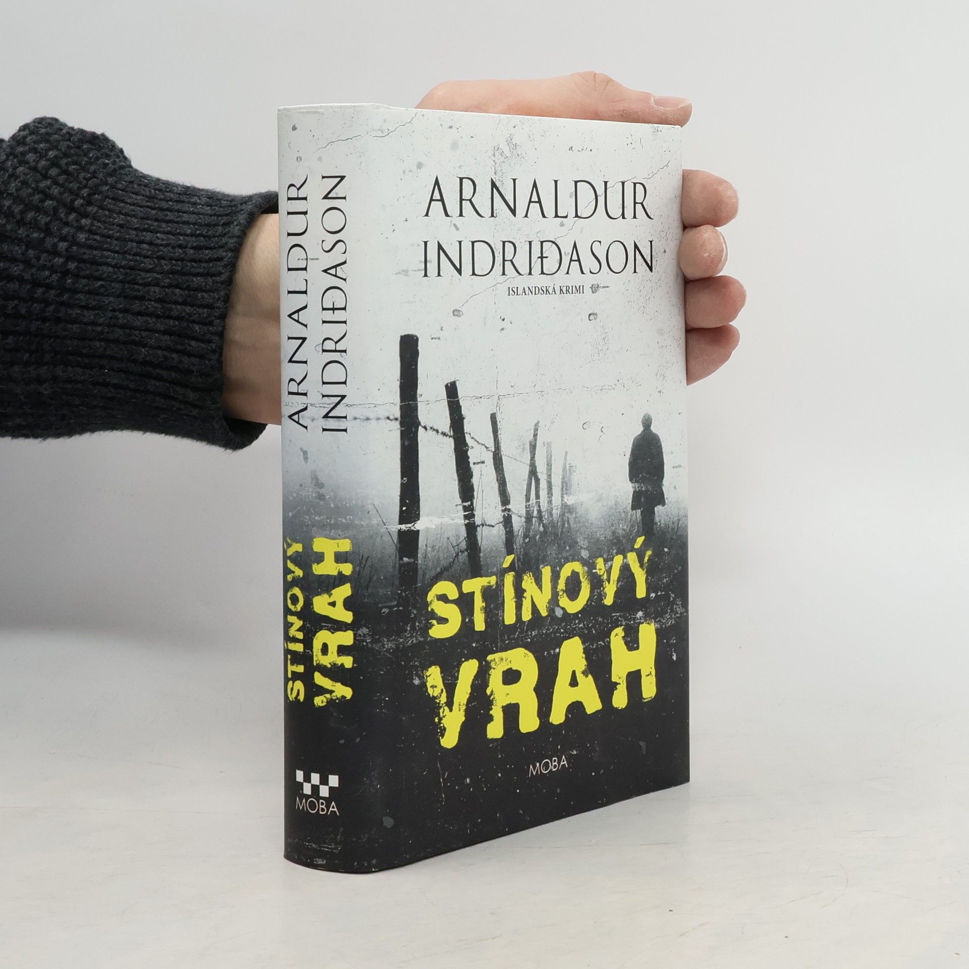 Arnaldur Indriðason Stínový vrah