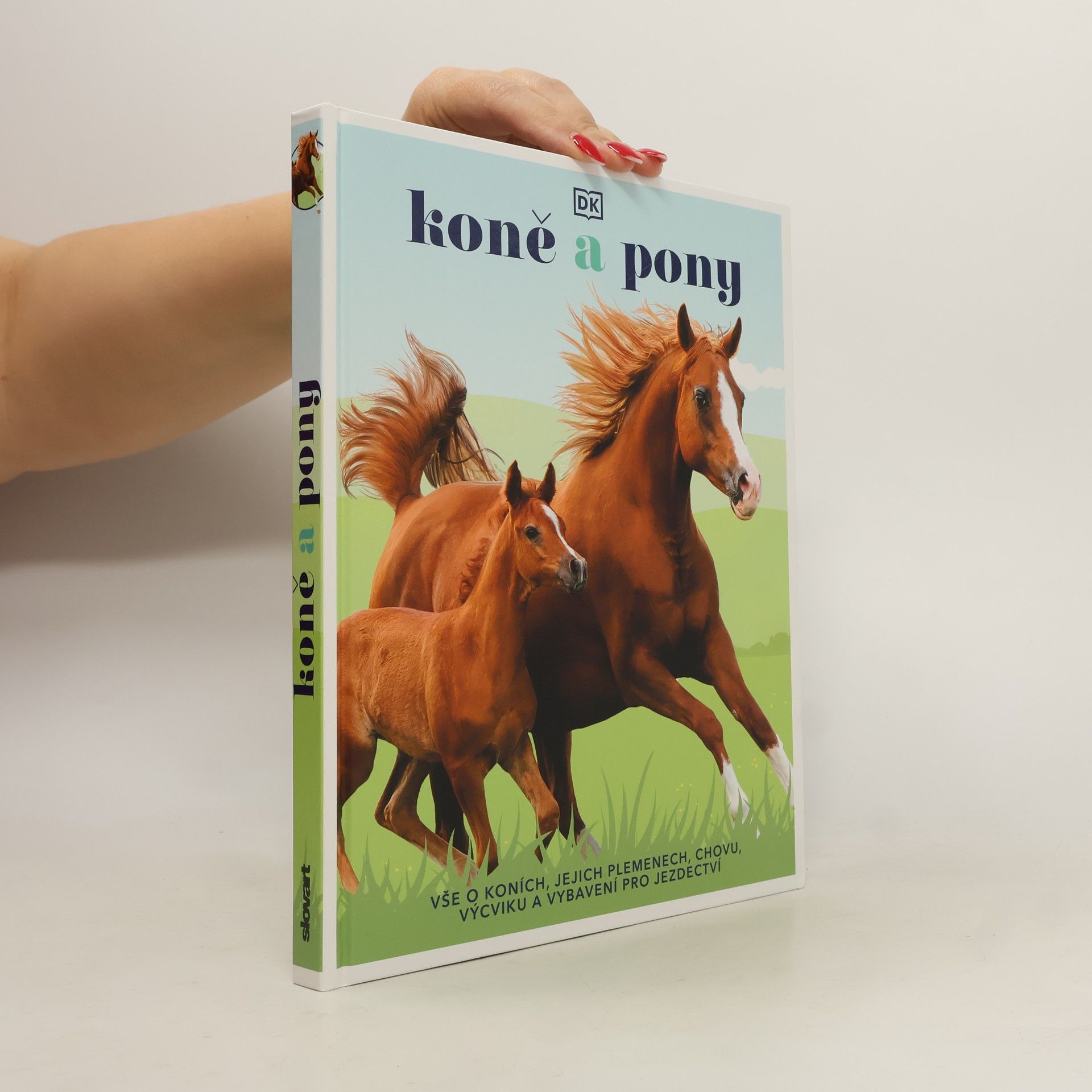 Autorenkollektiv Koně a pony