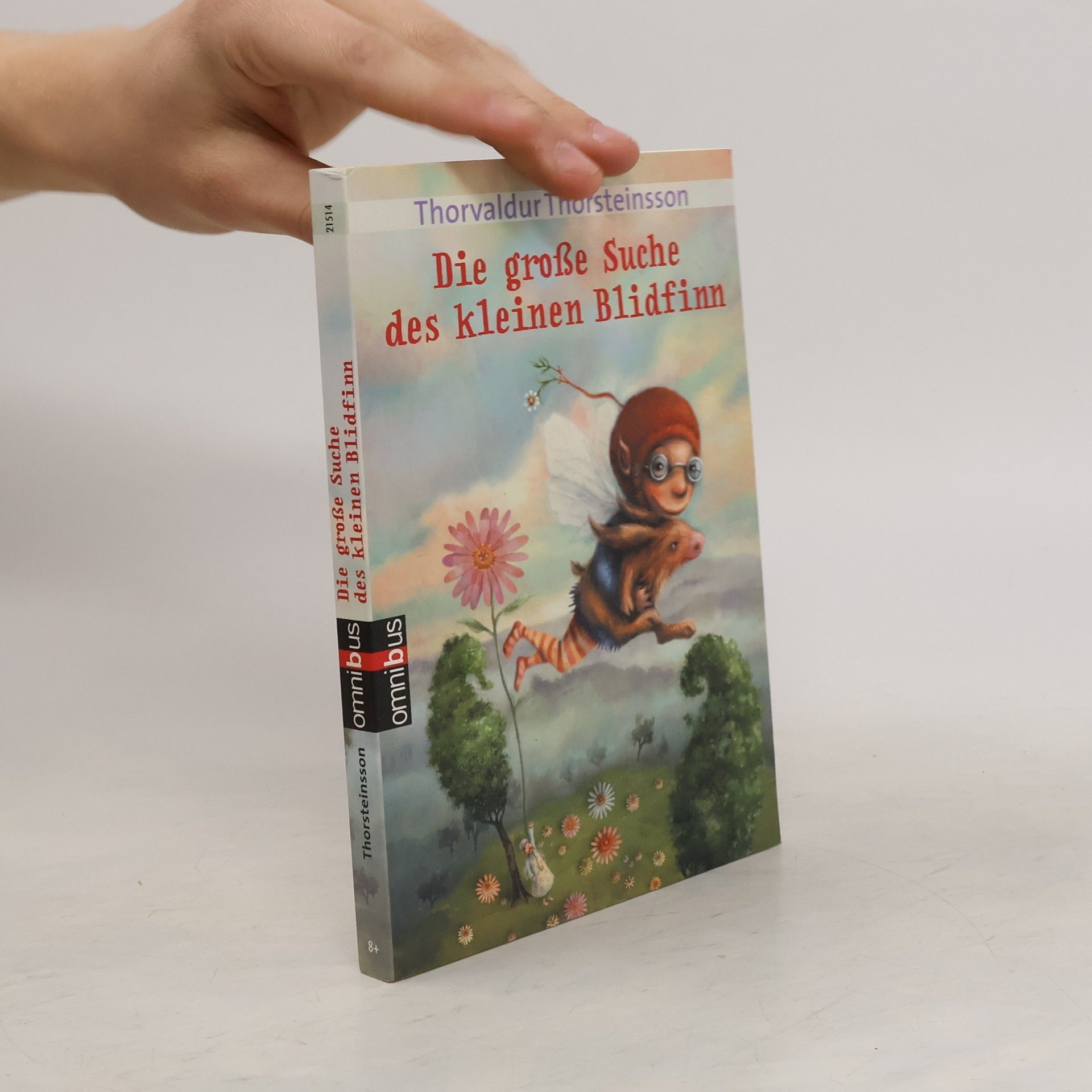 Thorvaldur Thorsteinsson Die große Suche des kleinen Blidfinn