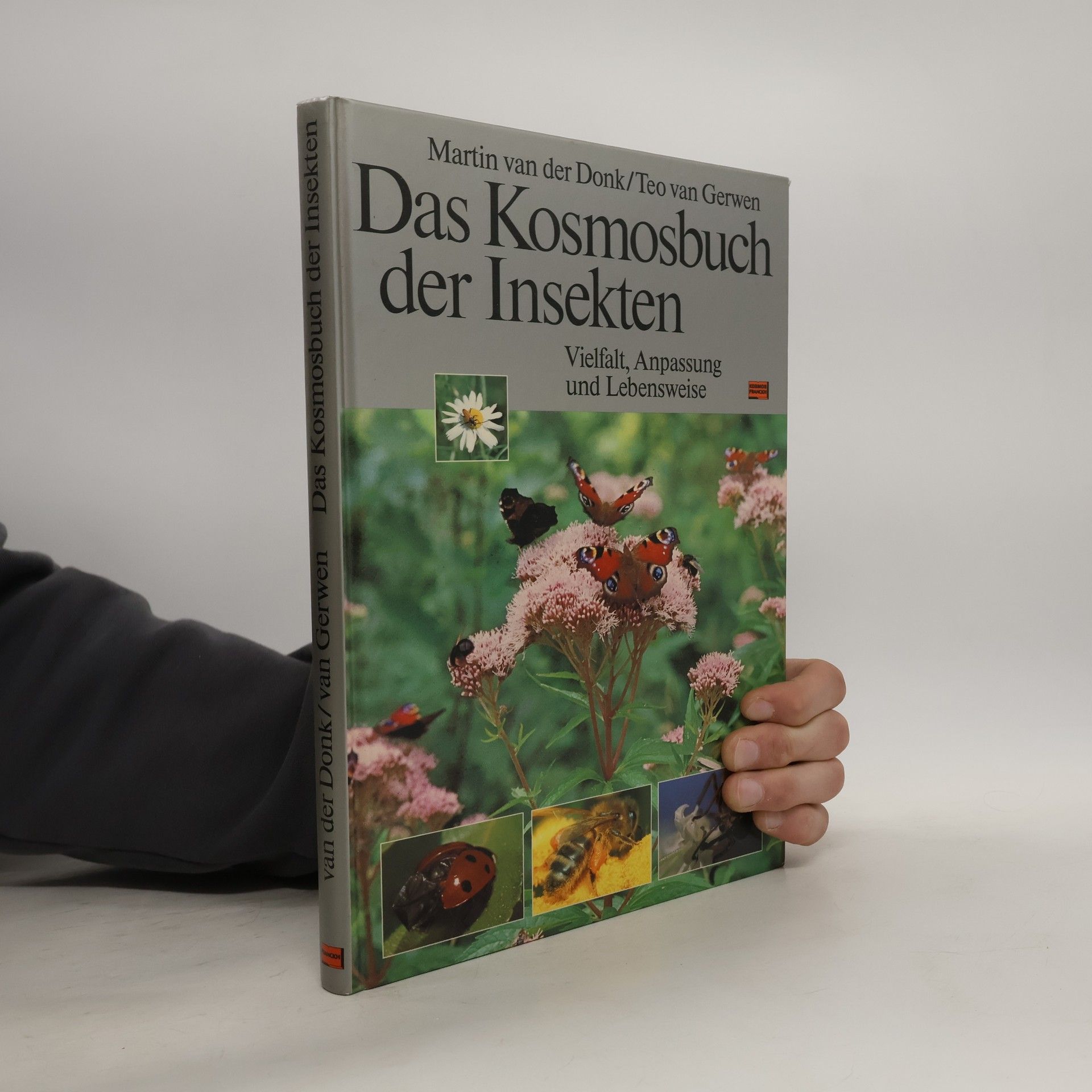 Martin van der Donk Das Kosmosbuch der Insekten