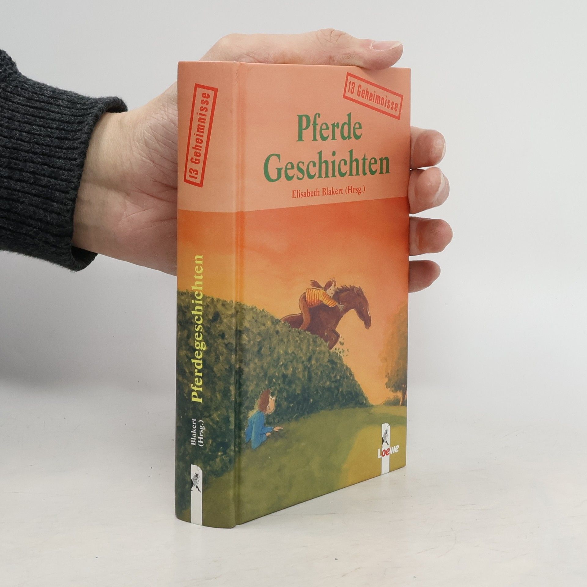 Elisabeth Blakert Pferdegeschichten. 13 Geheimnisse