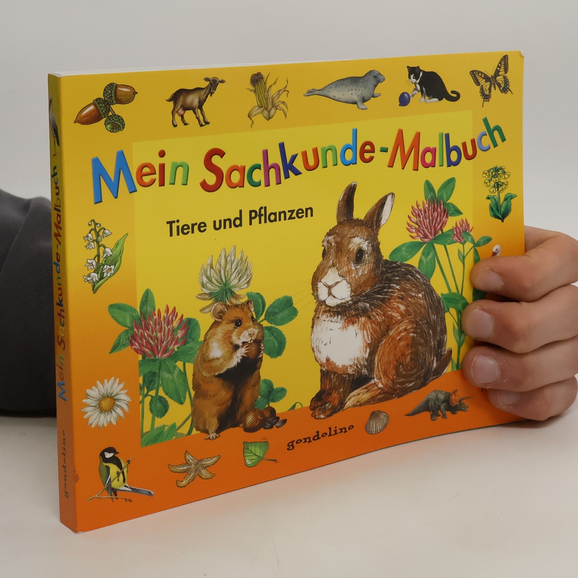 AA.VV. Mein Sachkunde-Malbuch Tiere und Pflanzen (orange)