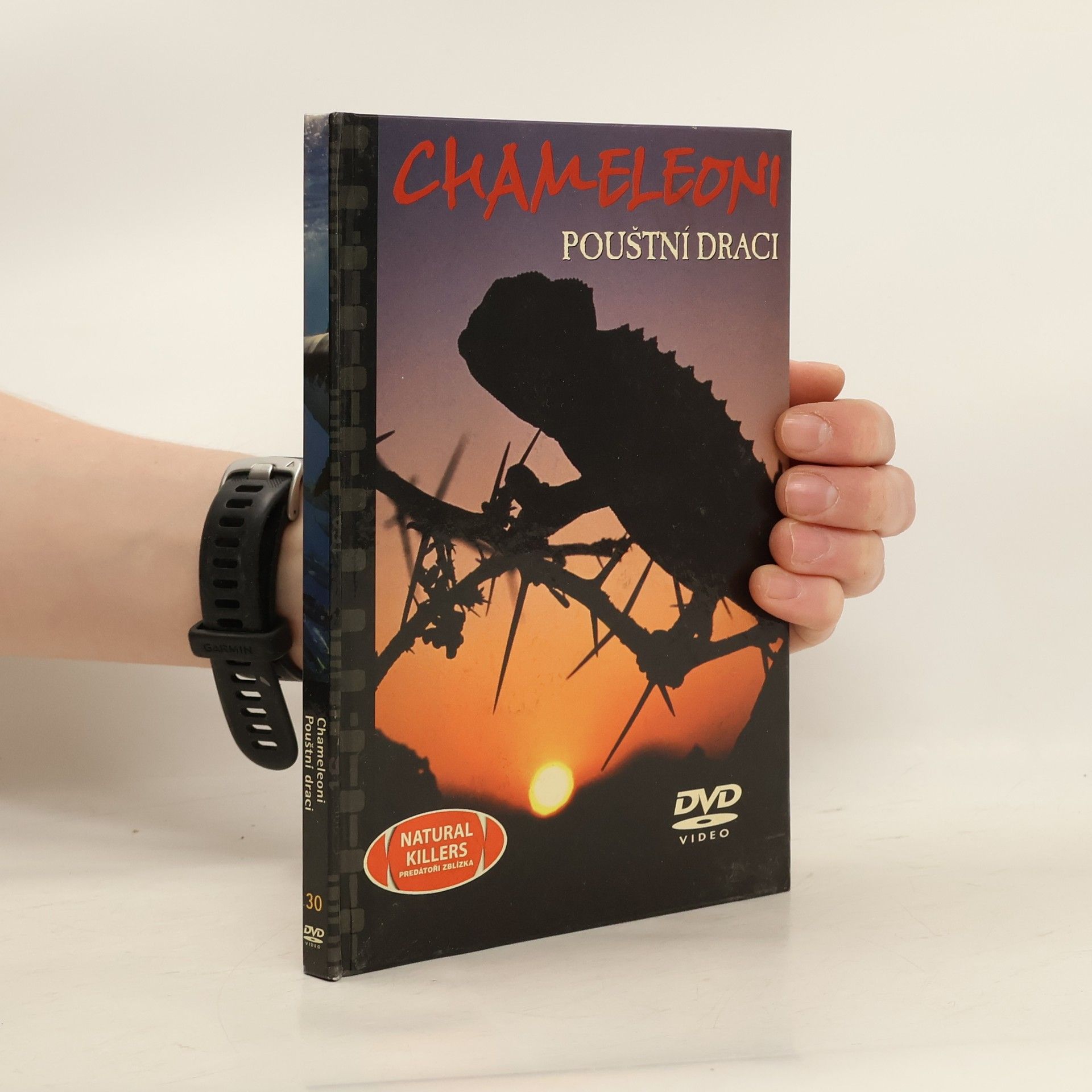 Autorenkollektiv Chameleoni. Pouštní draci