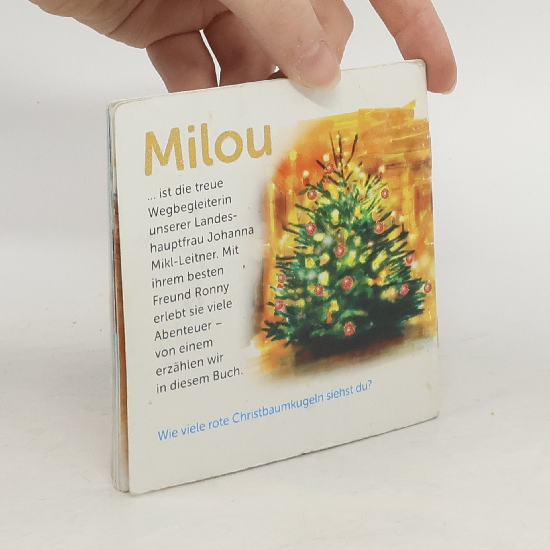 kolektiv Milou feiert Weihnachten