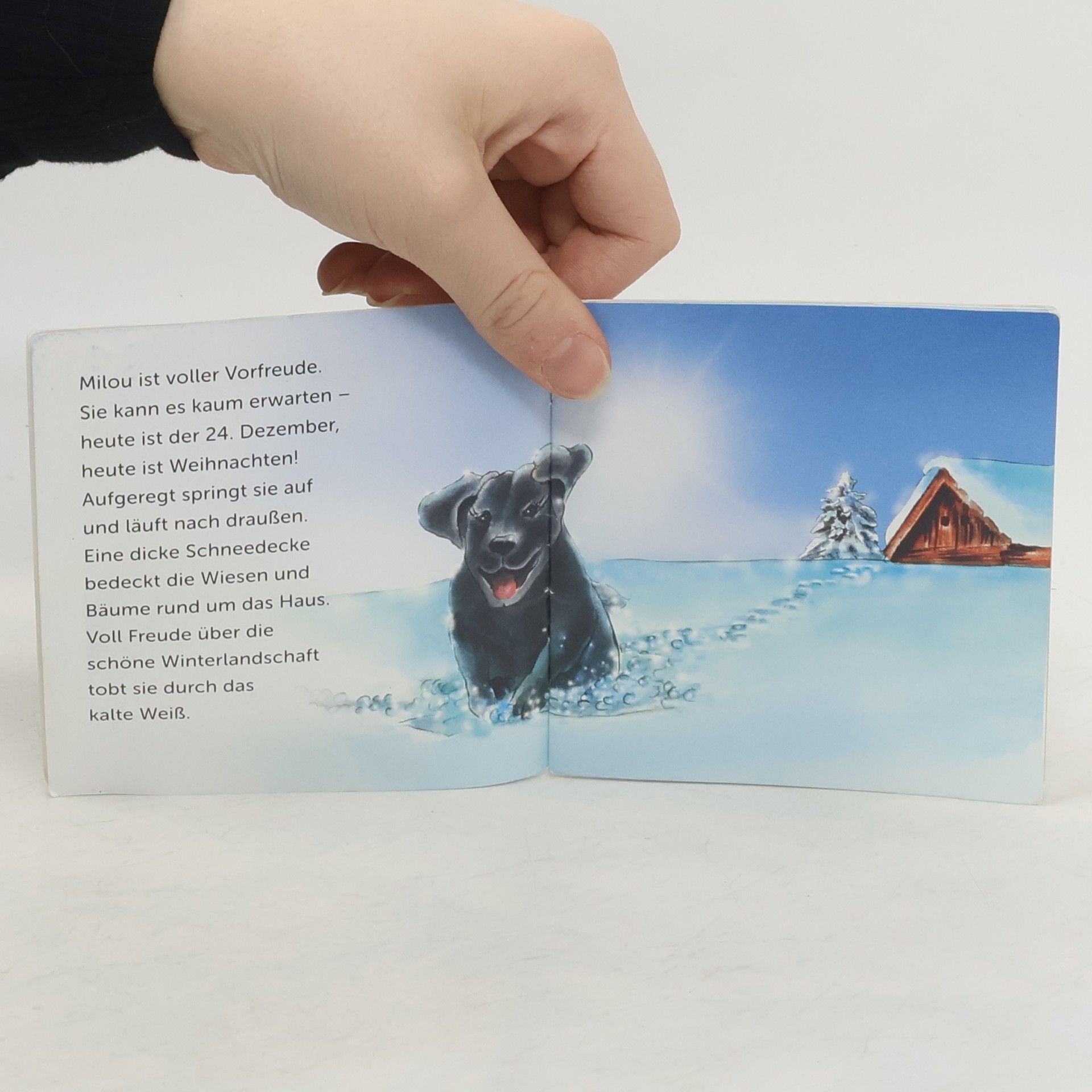 kolektiv Milou feiert Weihnachten