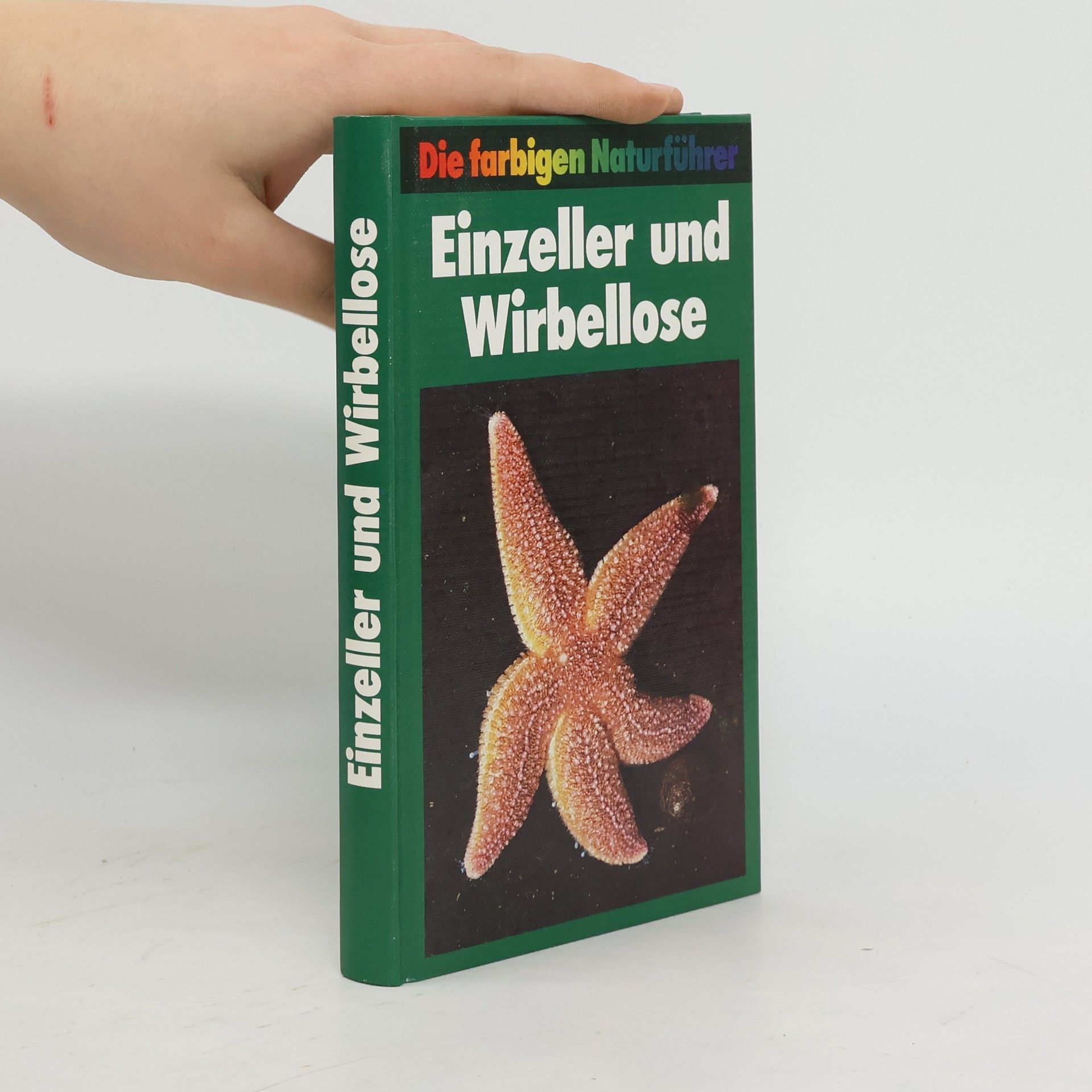 kolektiv Einzeller und Wirbellose