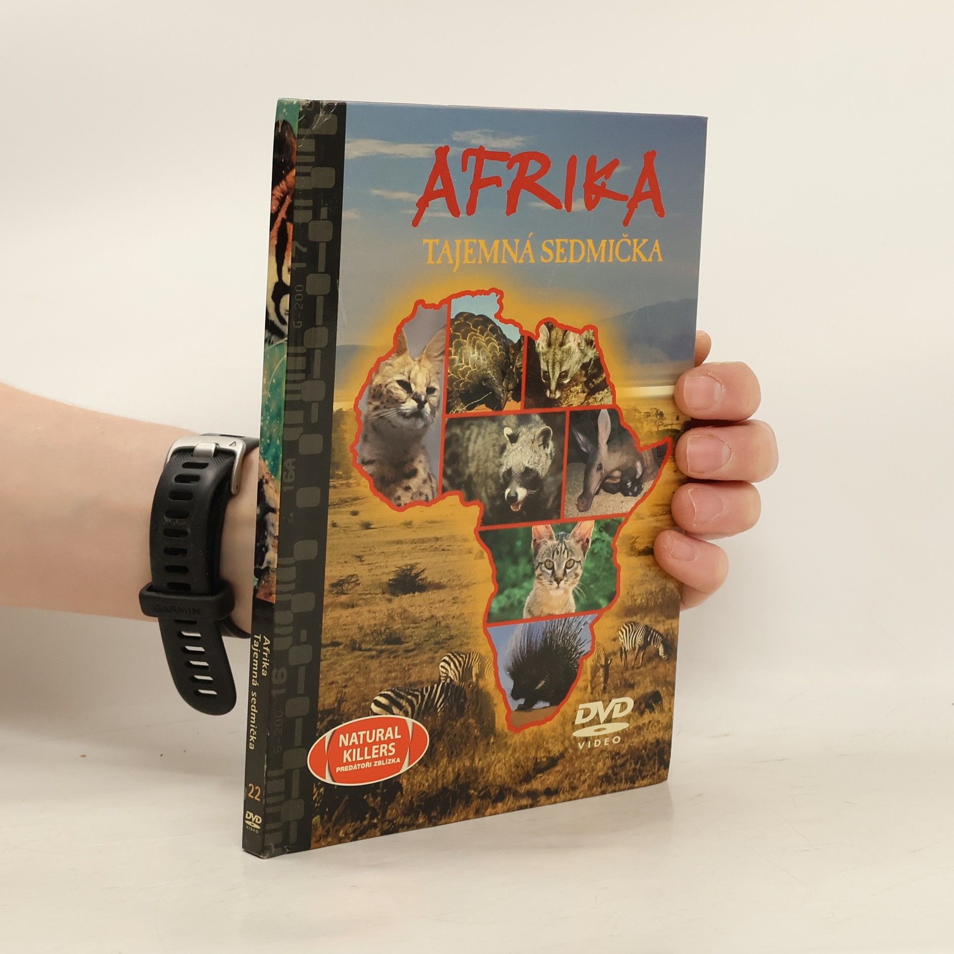 Autores varios Afrika. Tajemná sedmička
