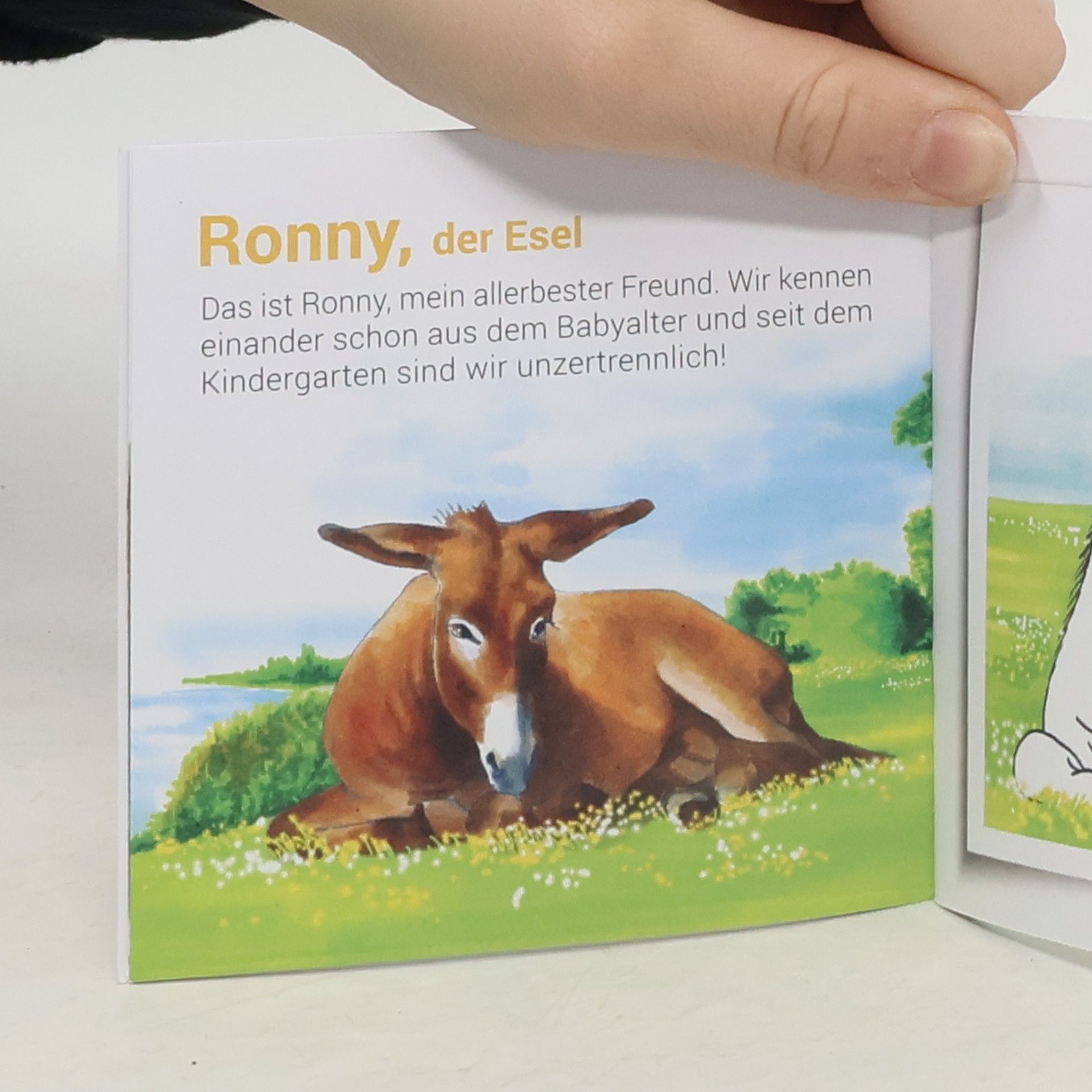 kolektiv Milou und die Kinderfotos der Tiere
