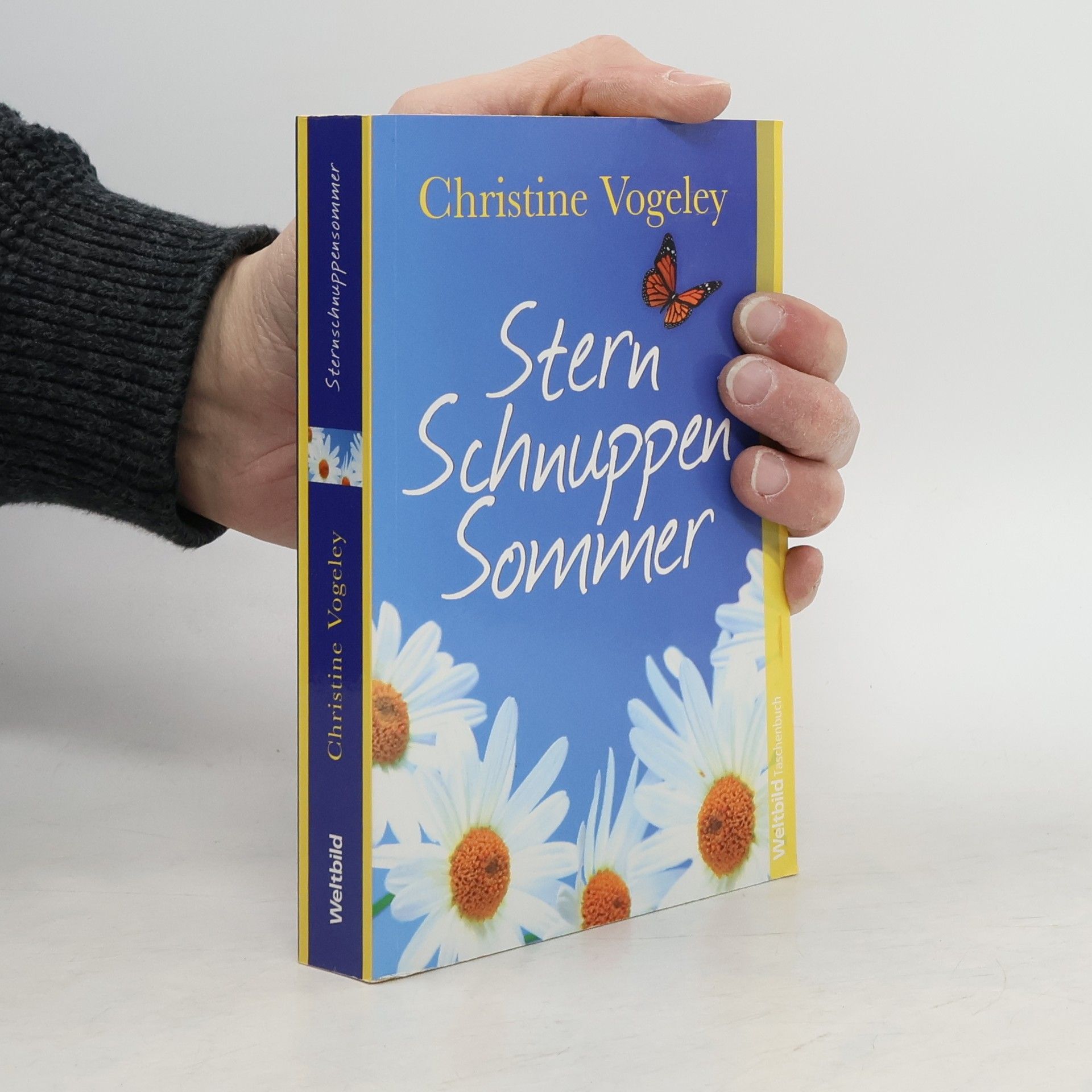 Kolektív autorov Sternschnuppensommer