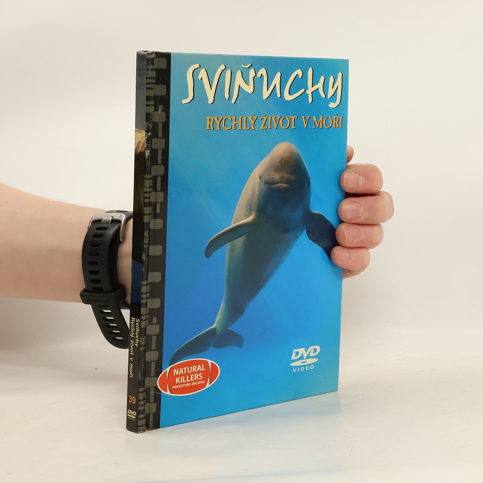 Collectif d'auteurs Sviňuchy. Rychlý život v moři