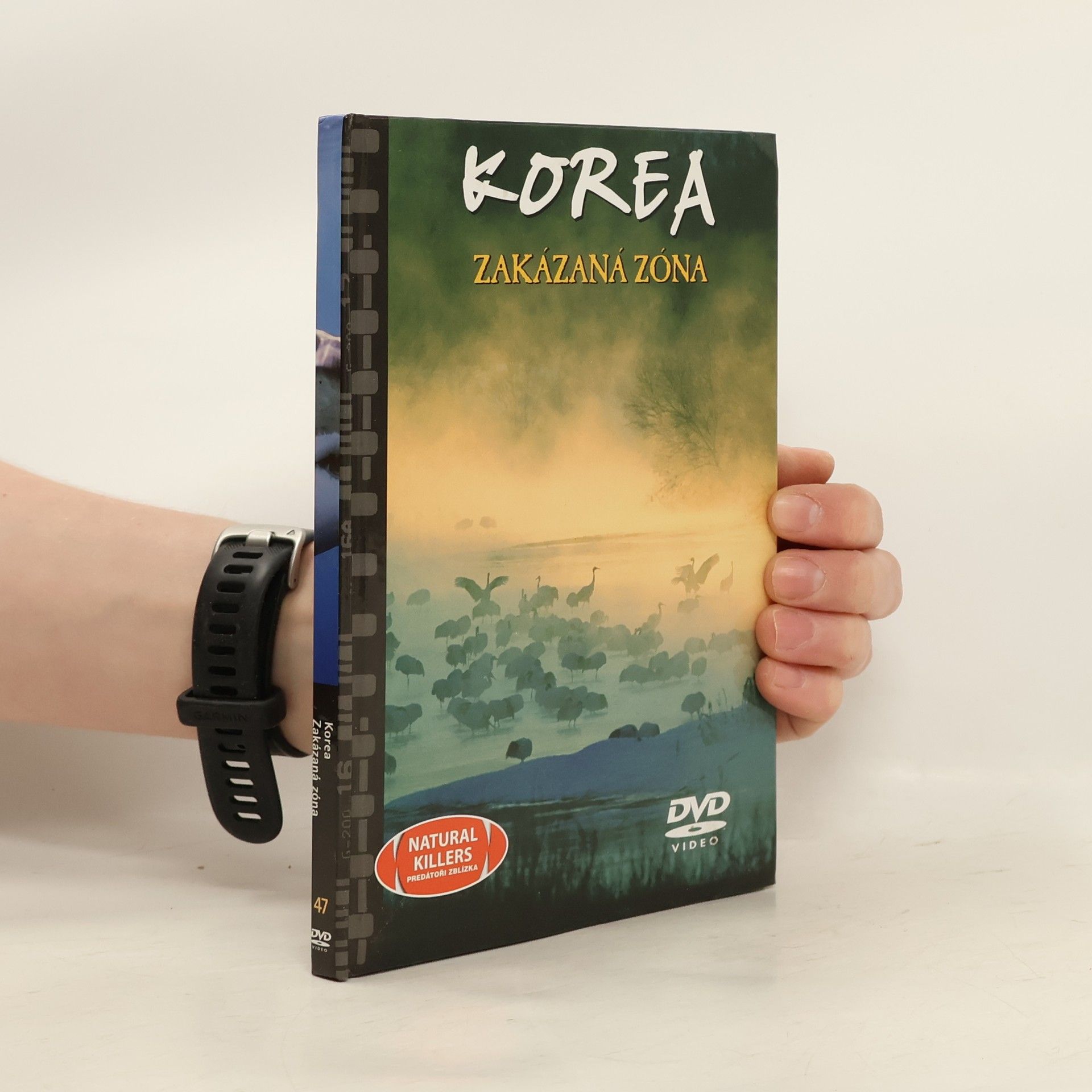 Autorenkollektiv Korea. Zakázaná zóna