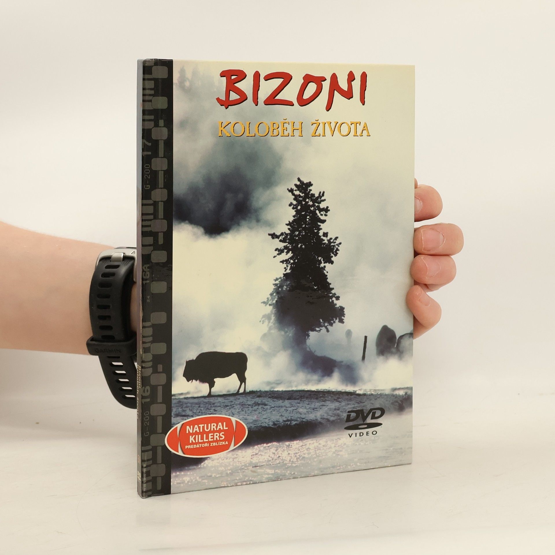 Auteurscollectief Bizoni. Koloběh života