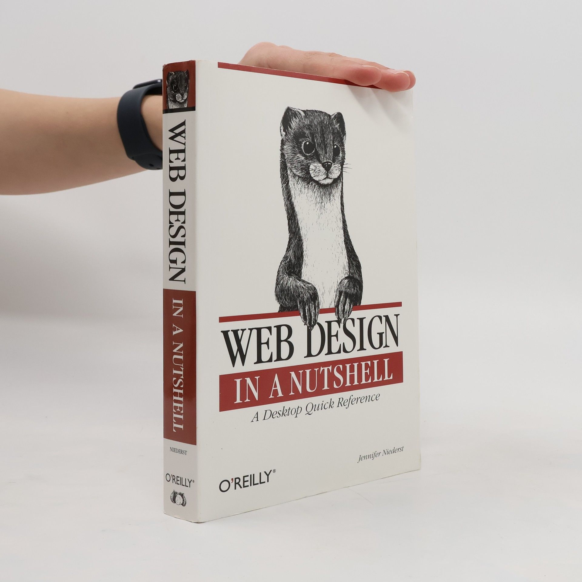 Jennifer Niederst Robbins Web design in a nutshell