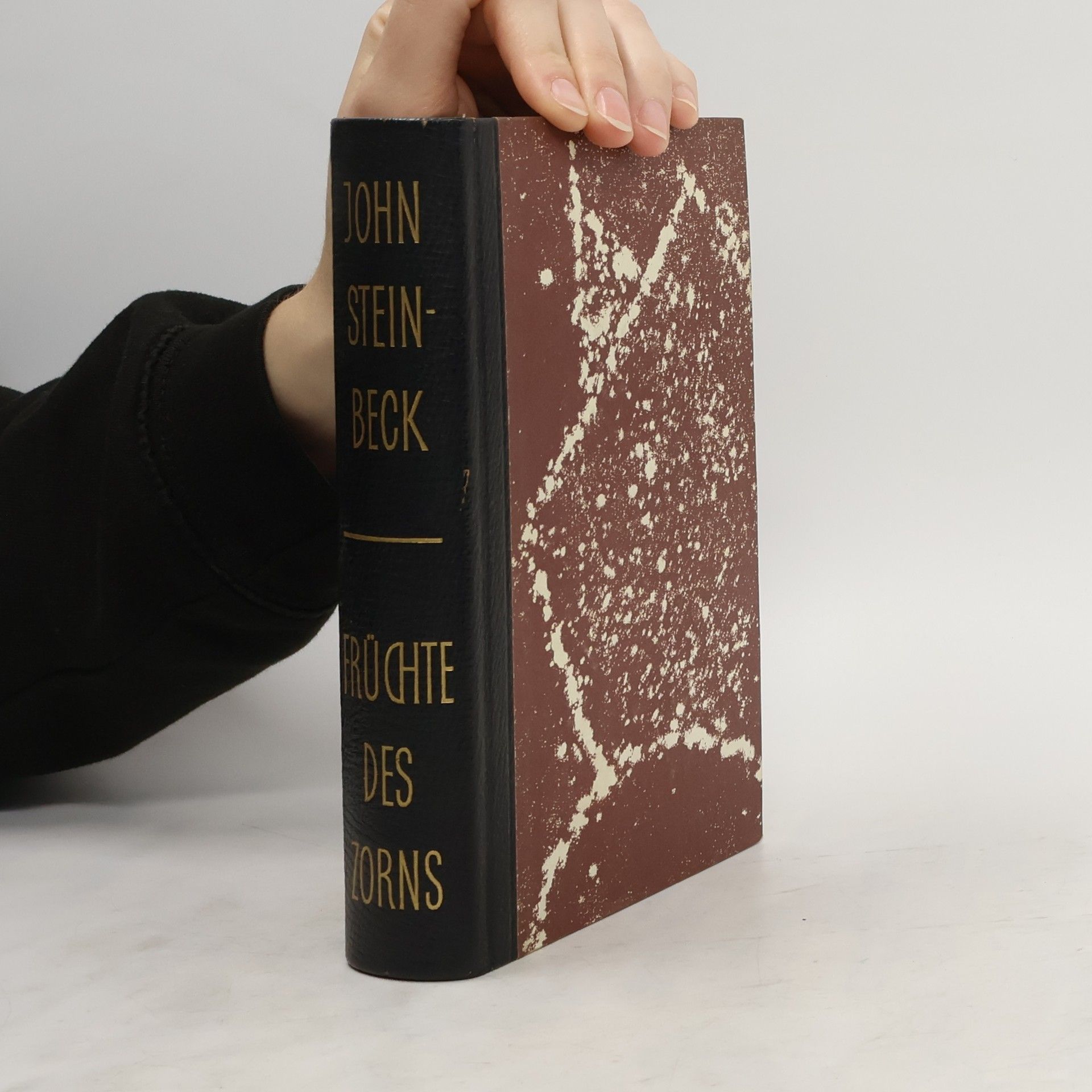 John Steinbeck Früchte des Zorns