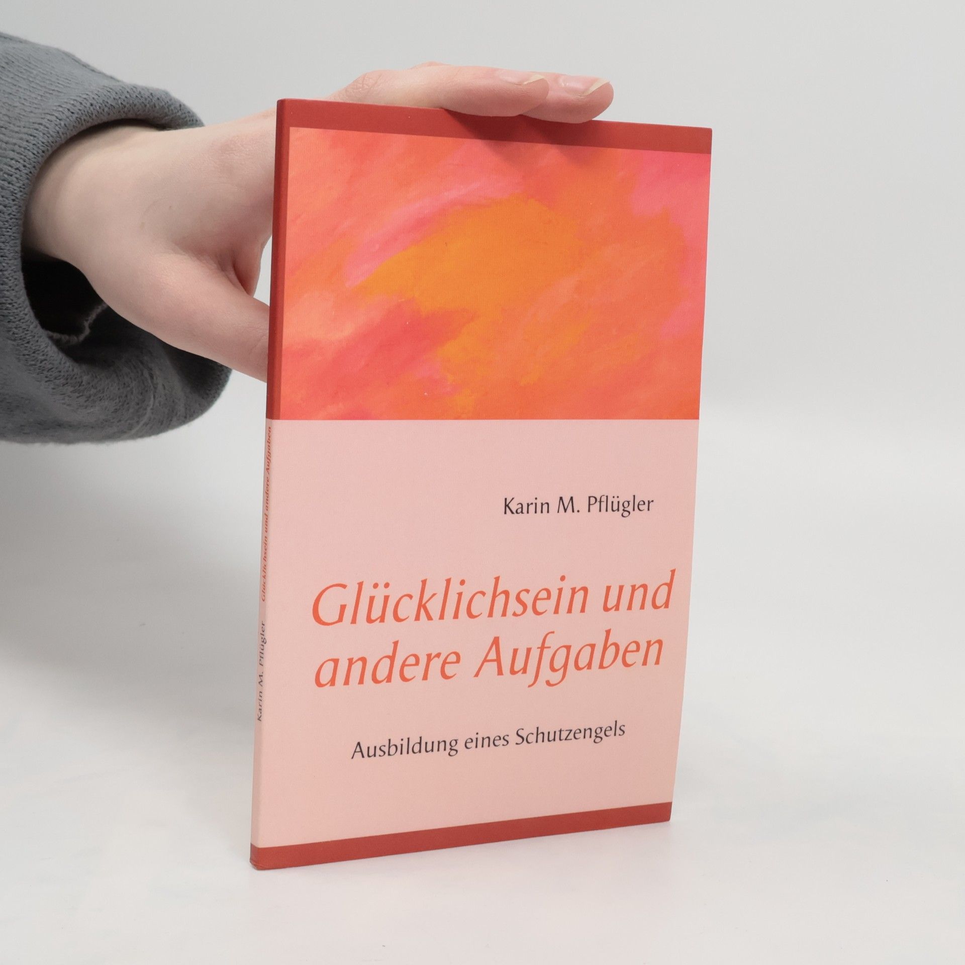 Karin M. Pflügler Glücklichsein und andere Aufgaben
