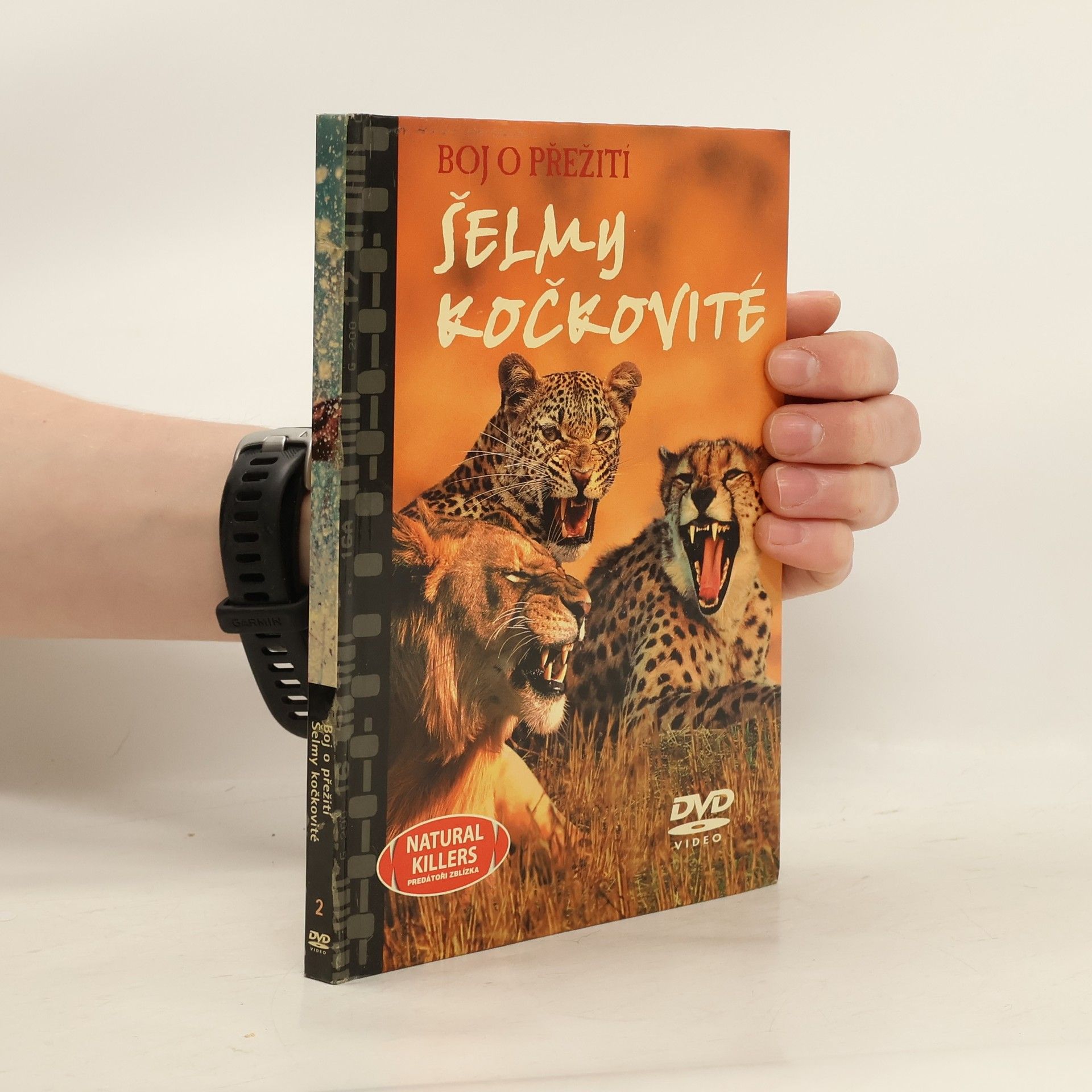Autorenkollektiv Boj o přežití. Šelmy kočkovité