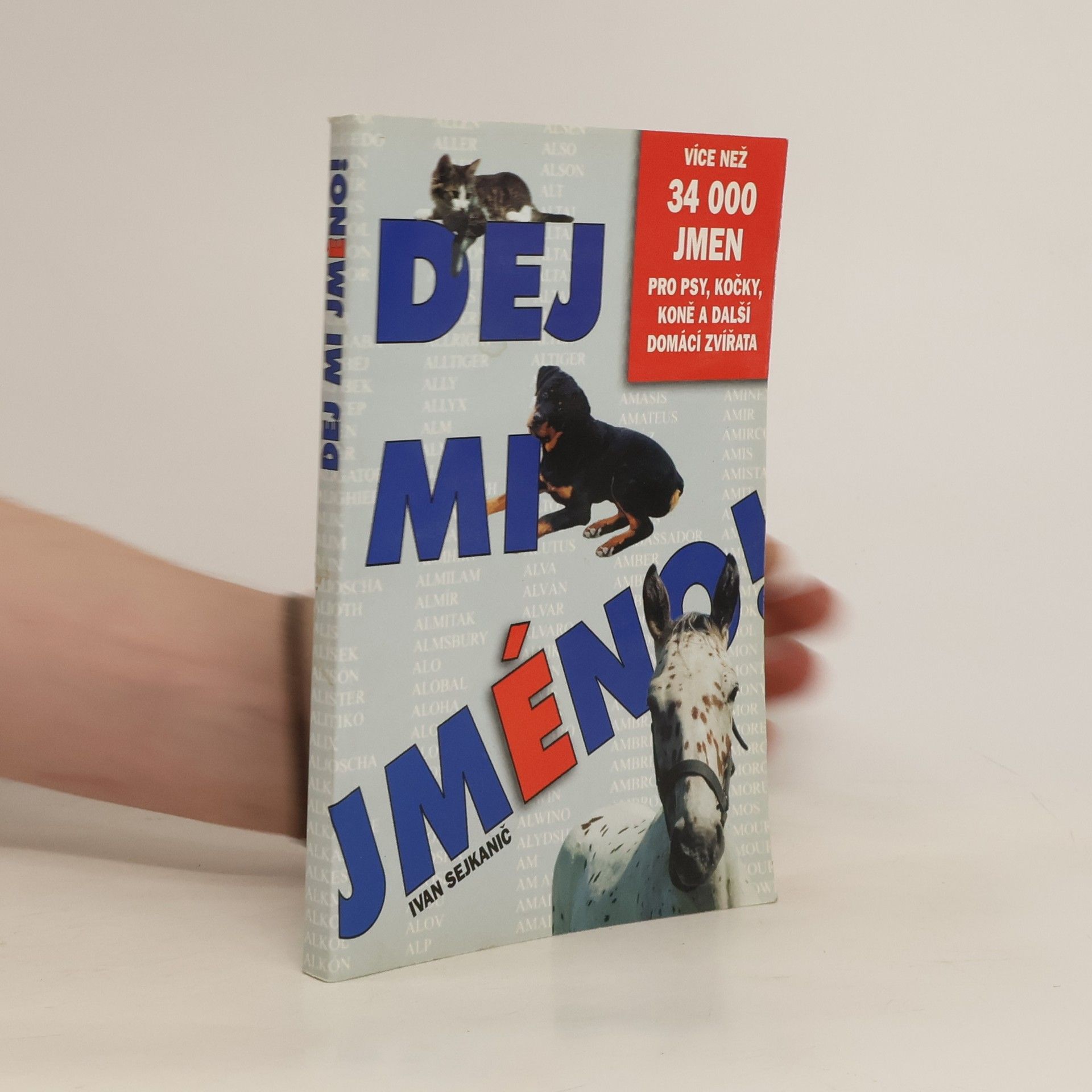 Ivan Sejkanič Dej mi jméno!