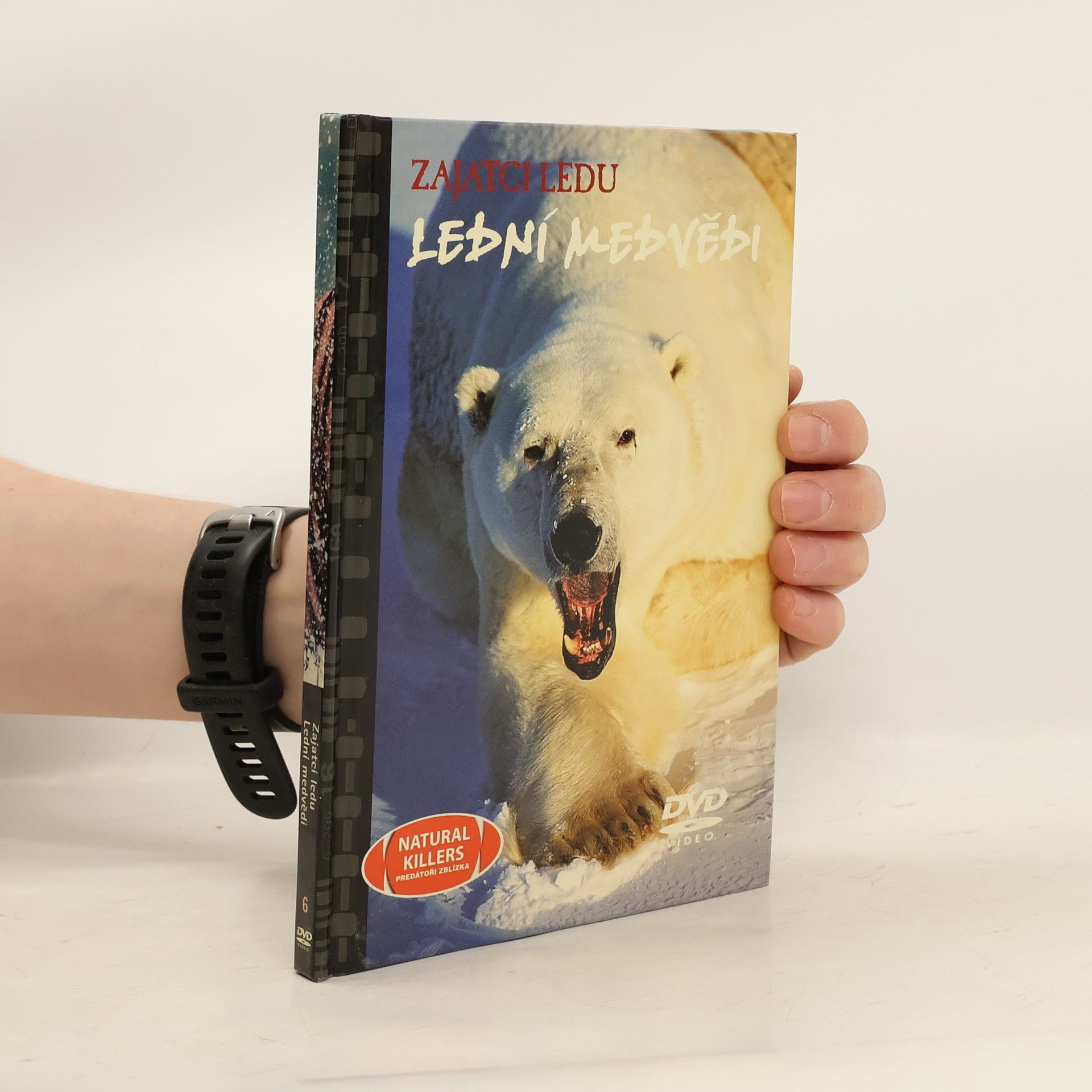 Collectif d'auteurs Zajatci ledu lední medvědi