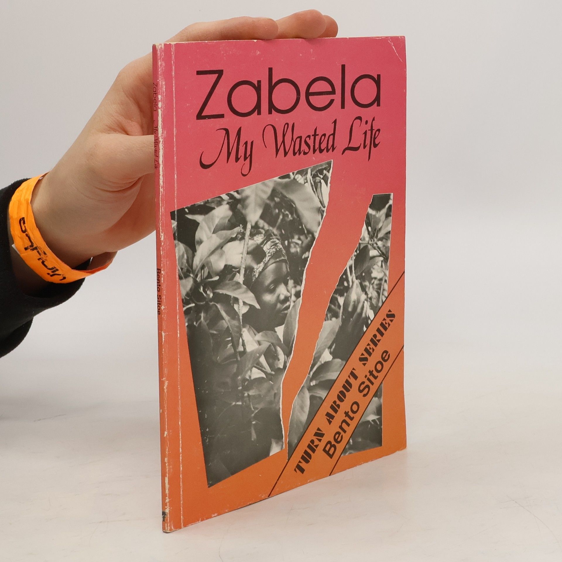 Bento Sitoe Zabela. My Wasted Life