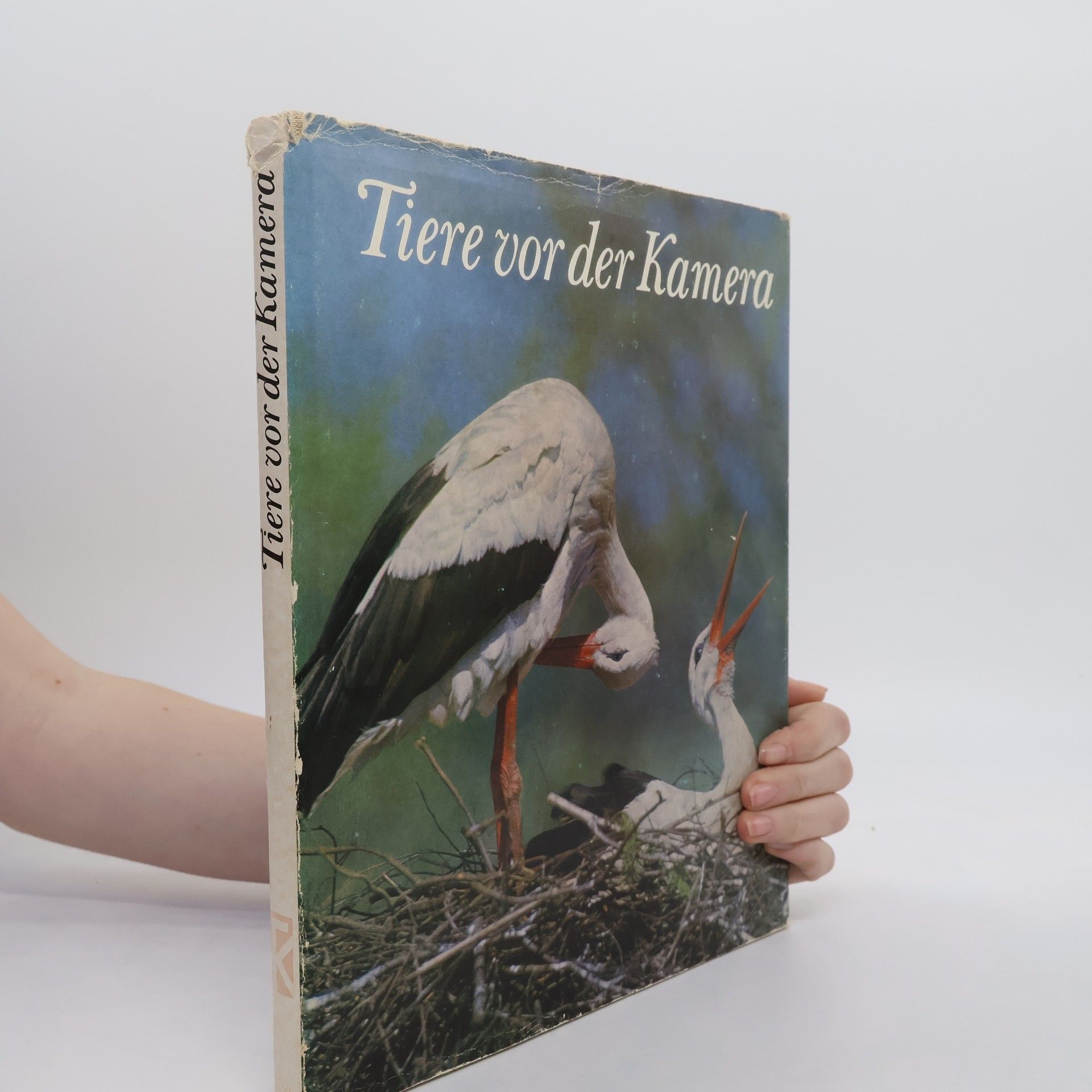 Autorenkollektiv Tiere vor der Kamera