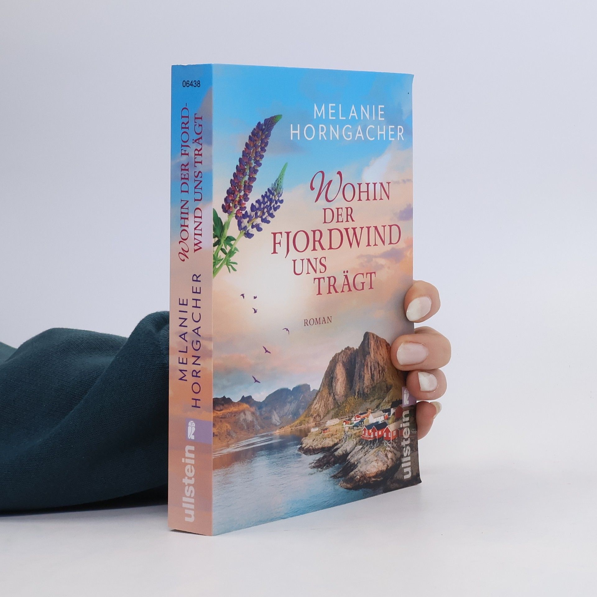 Melanie Horngacher Wohin der Fjordwind uns trägt