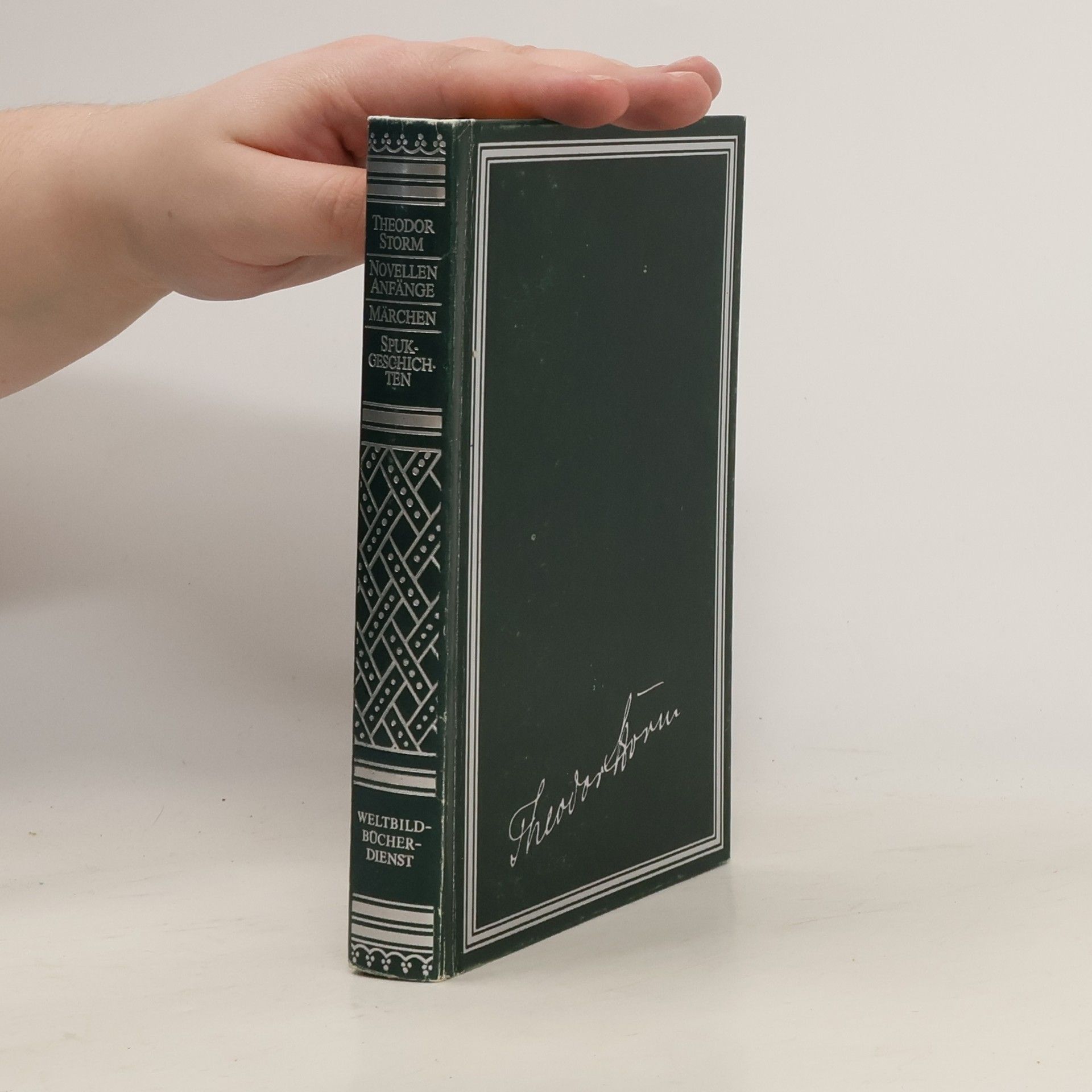 Theodor Storm Novellen I