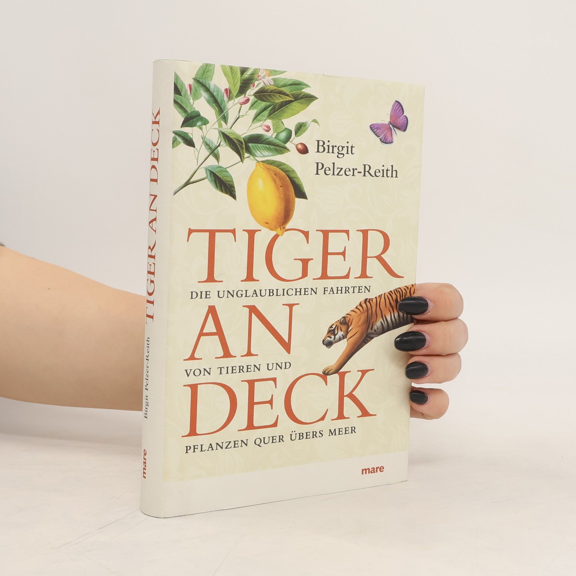 Birgit Pelzer Reith Tiger an Deck
