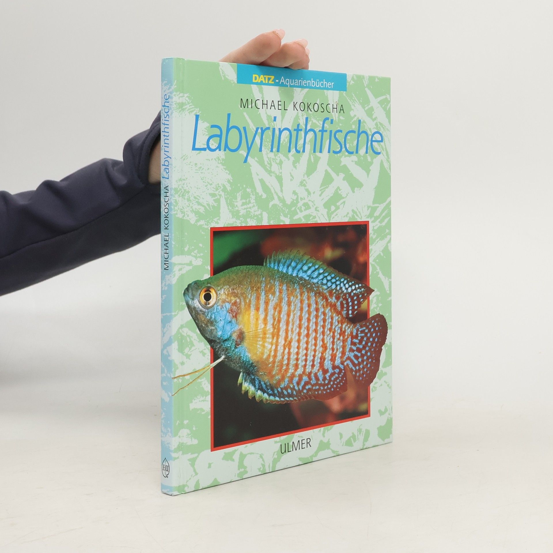 Michael Kokoscha Labyrinthfische