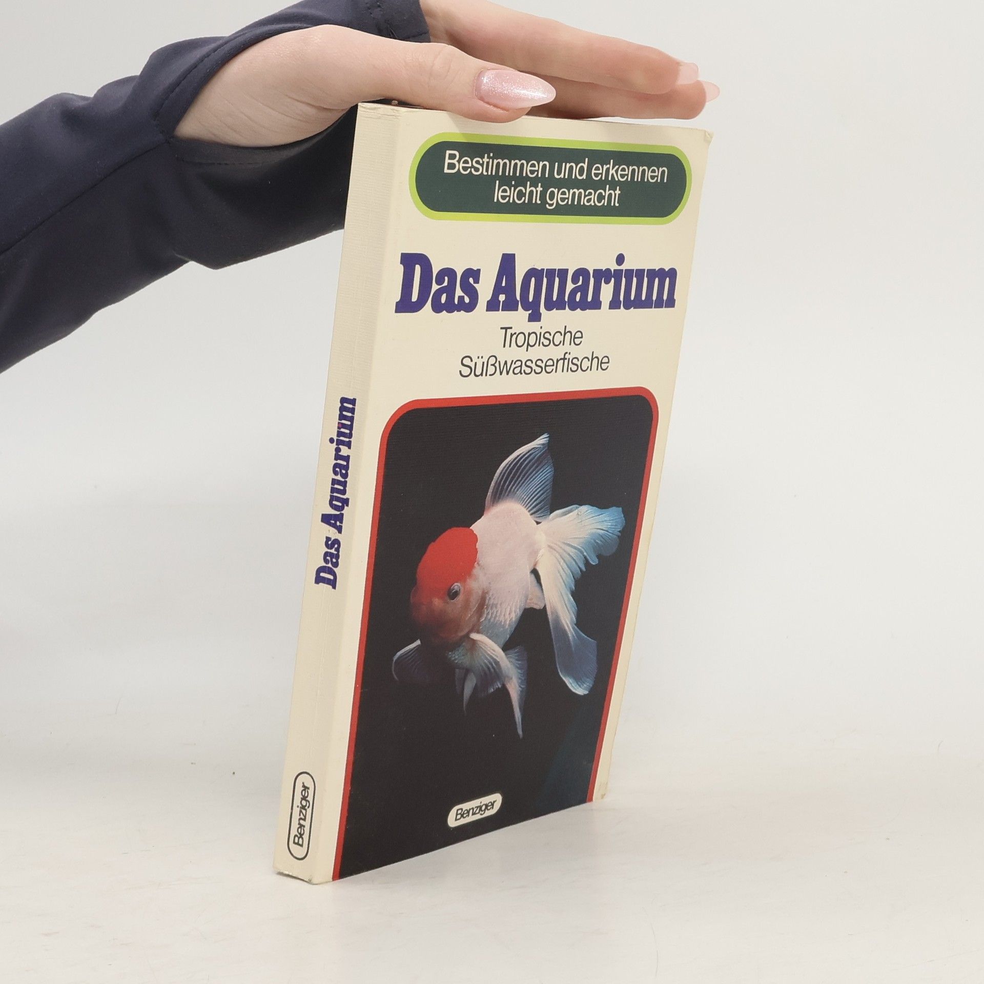 Jean-Pierre Gosse Das Aquarium