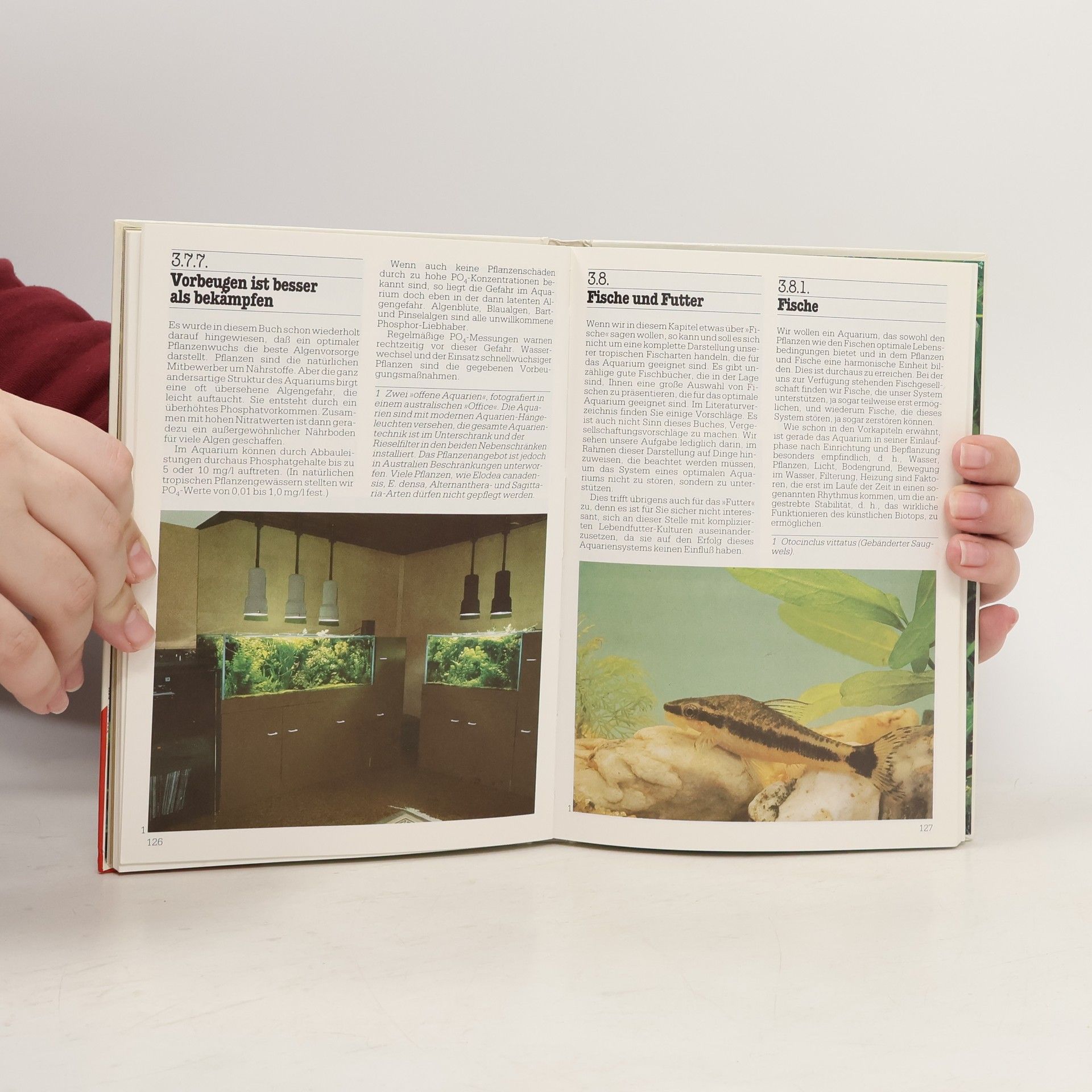 Kaspar Horst Das optimale Aquarium