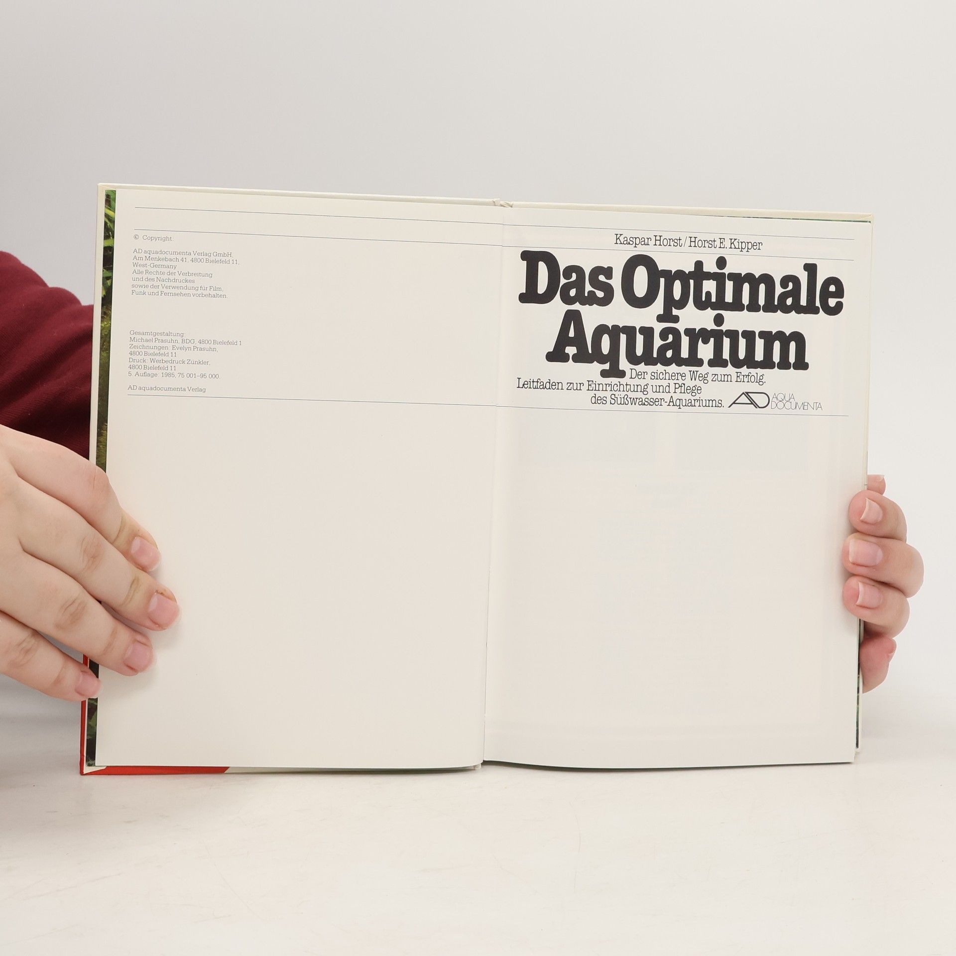 Kaspar Horst Das optimale Aquarium