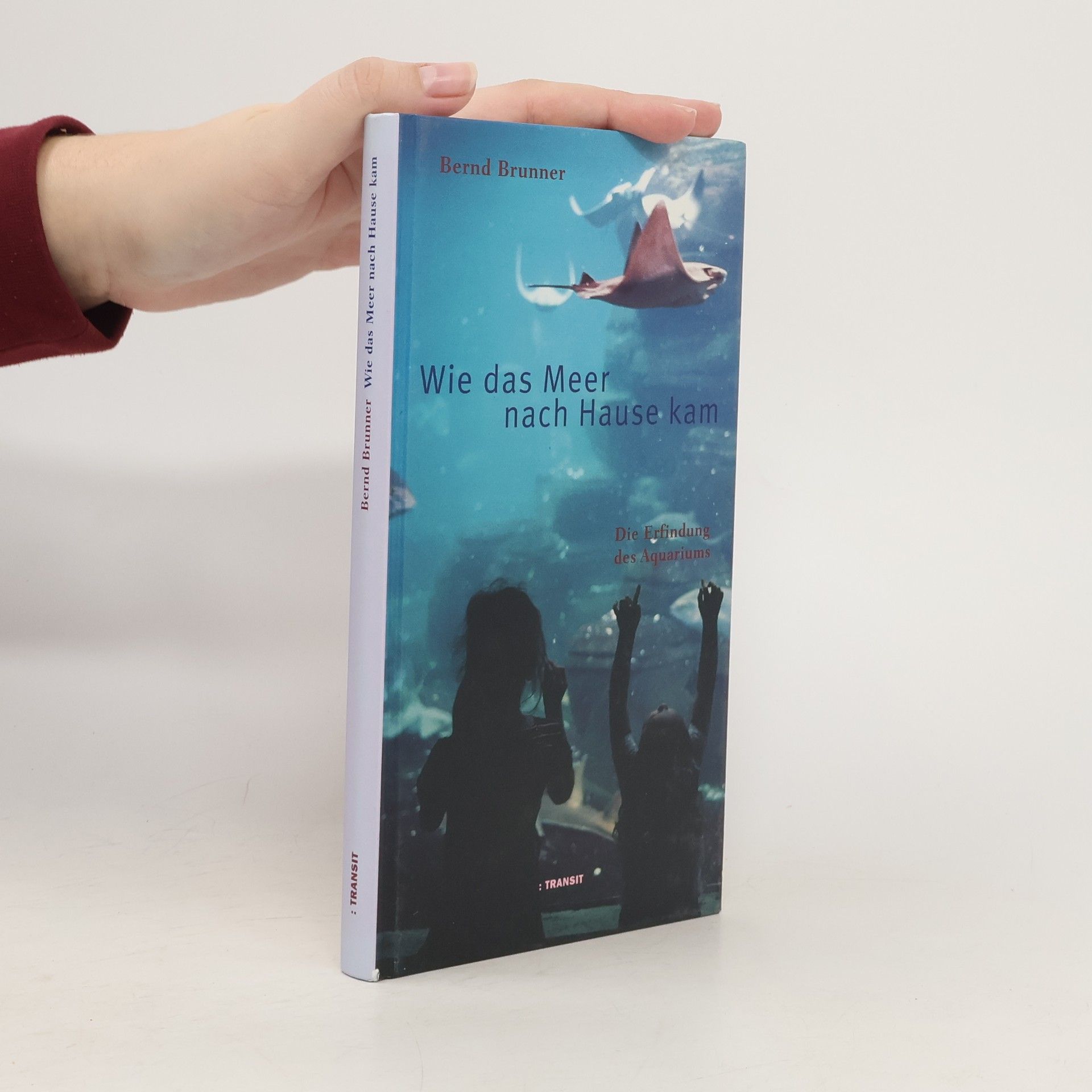 Bernd Brunner Wie das Meer nach Hause kam