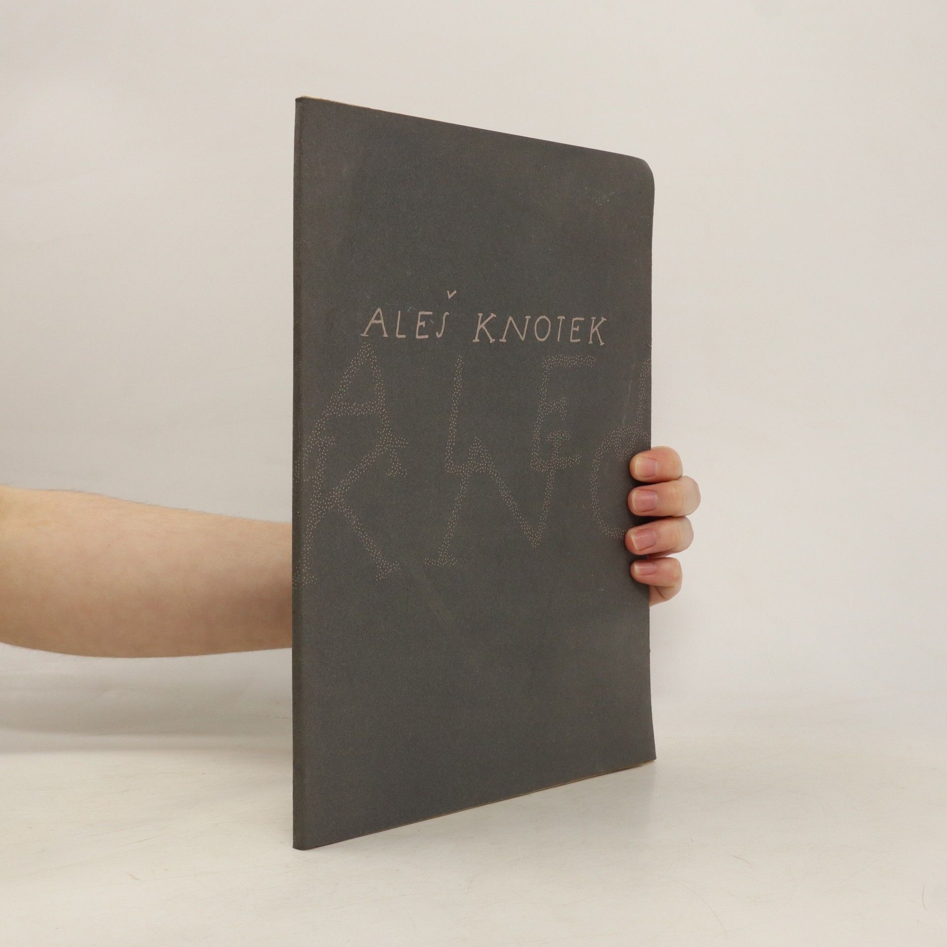 AA.VV. Aleš Knotek