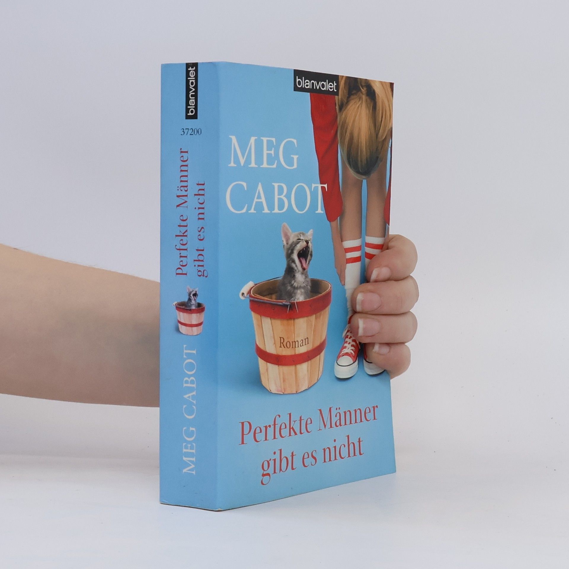 Patricia Cabot Perfekte Männer gibt es nicht