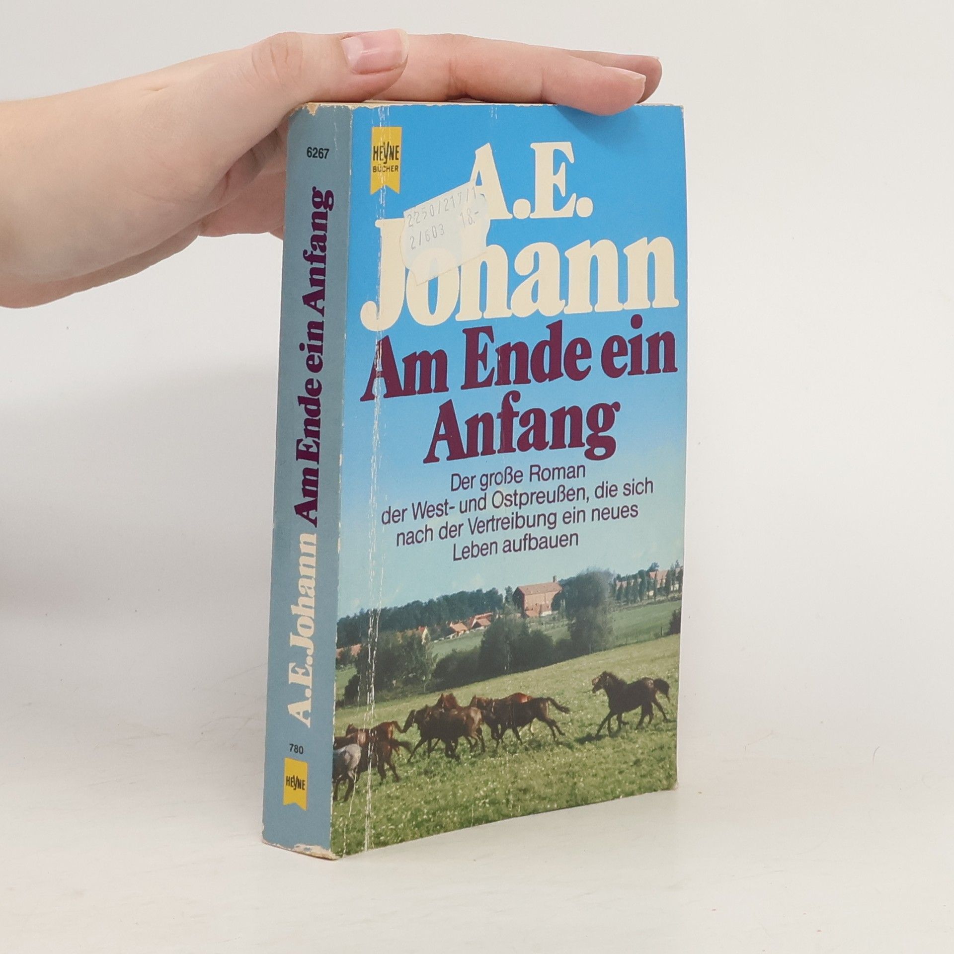 Alfred E. Johann Am Ende ein Anfang