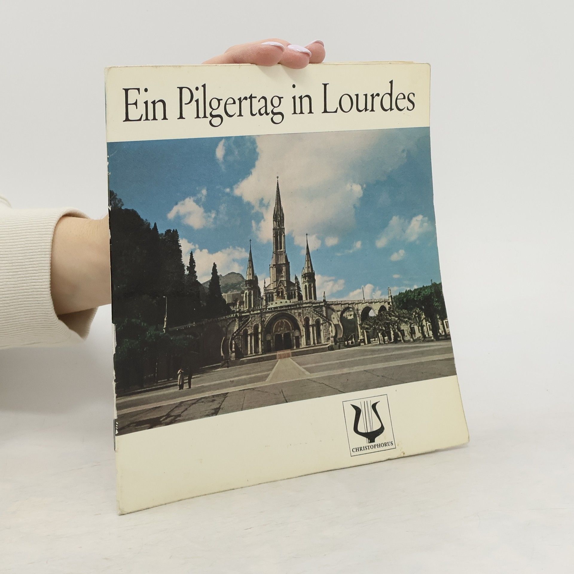 Autorenkollektiv Ein Pilgertag in Lourdes