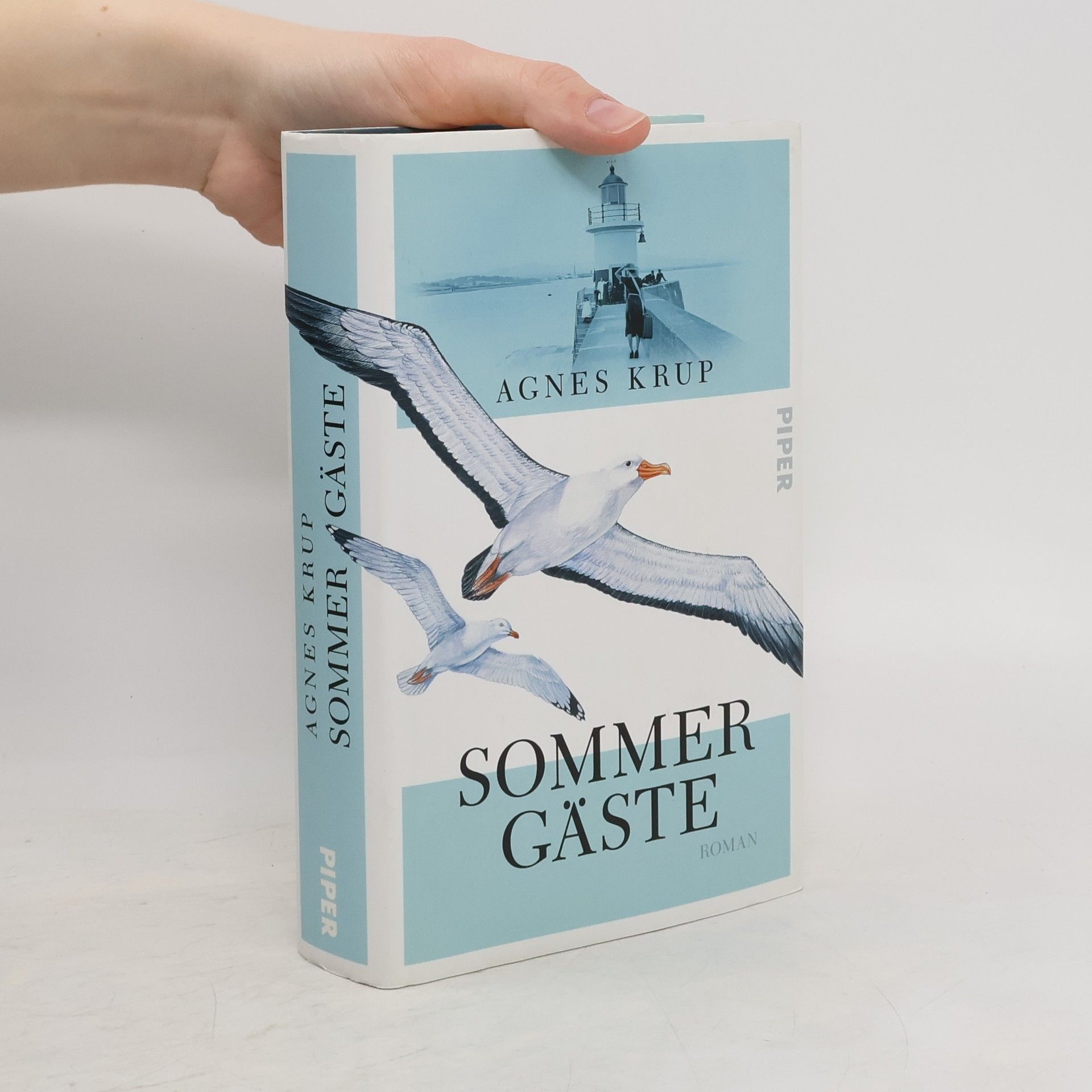 Agnes Krup Sommergäste