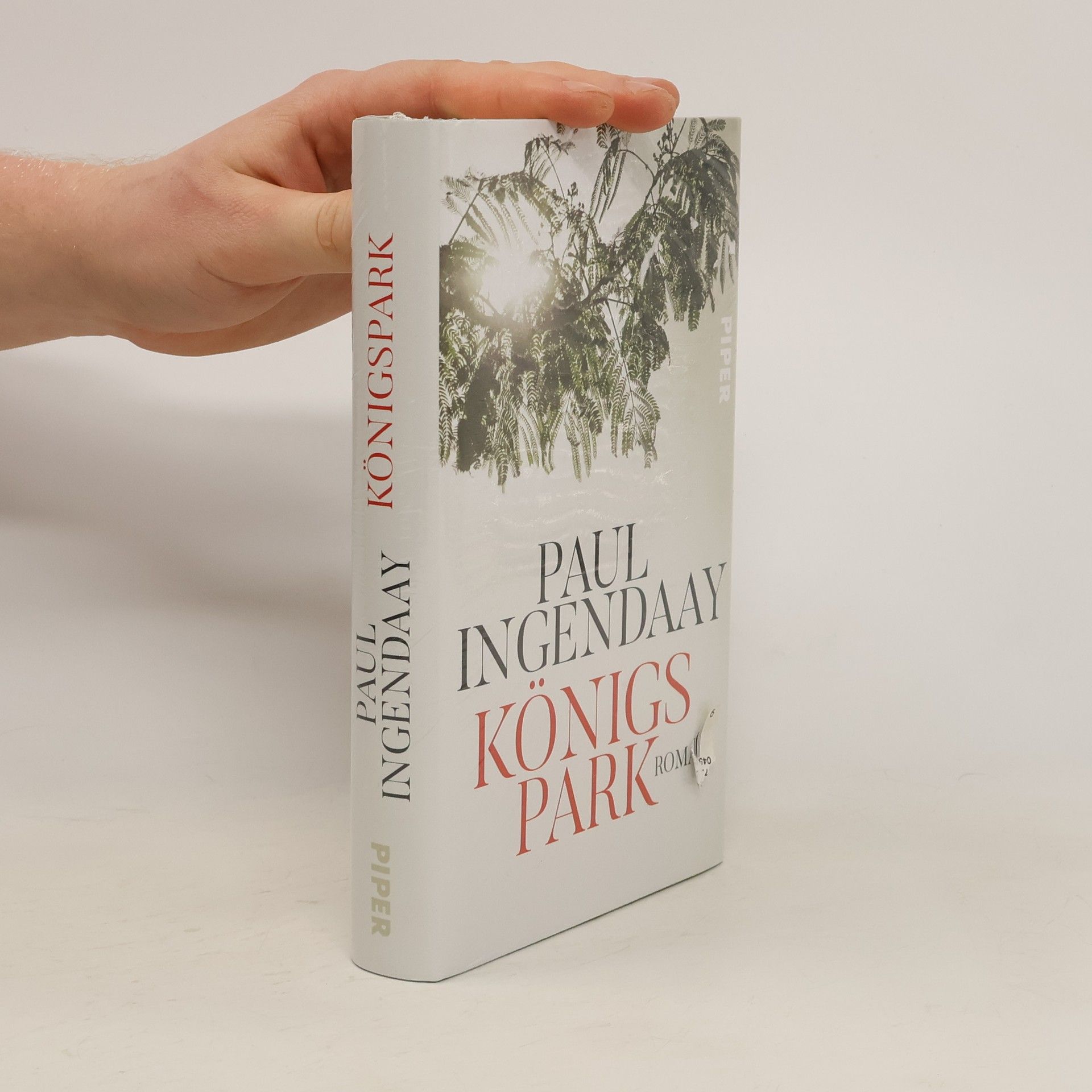 Paul Ingendaay Königspark
