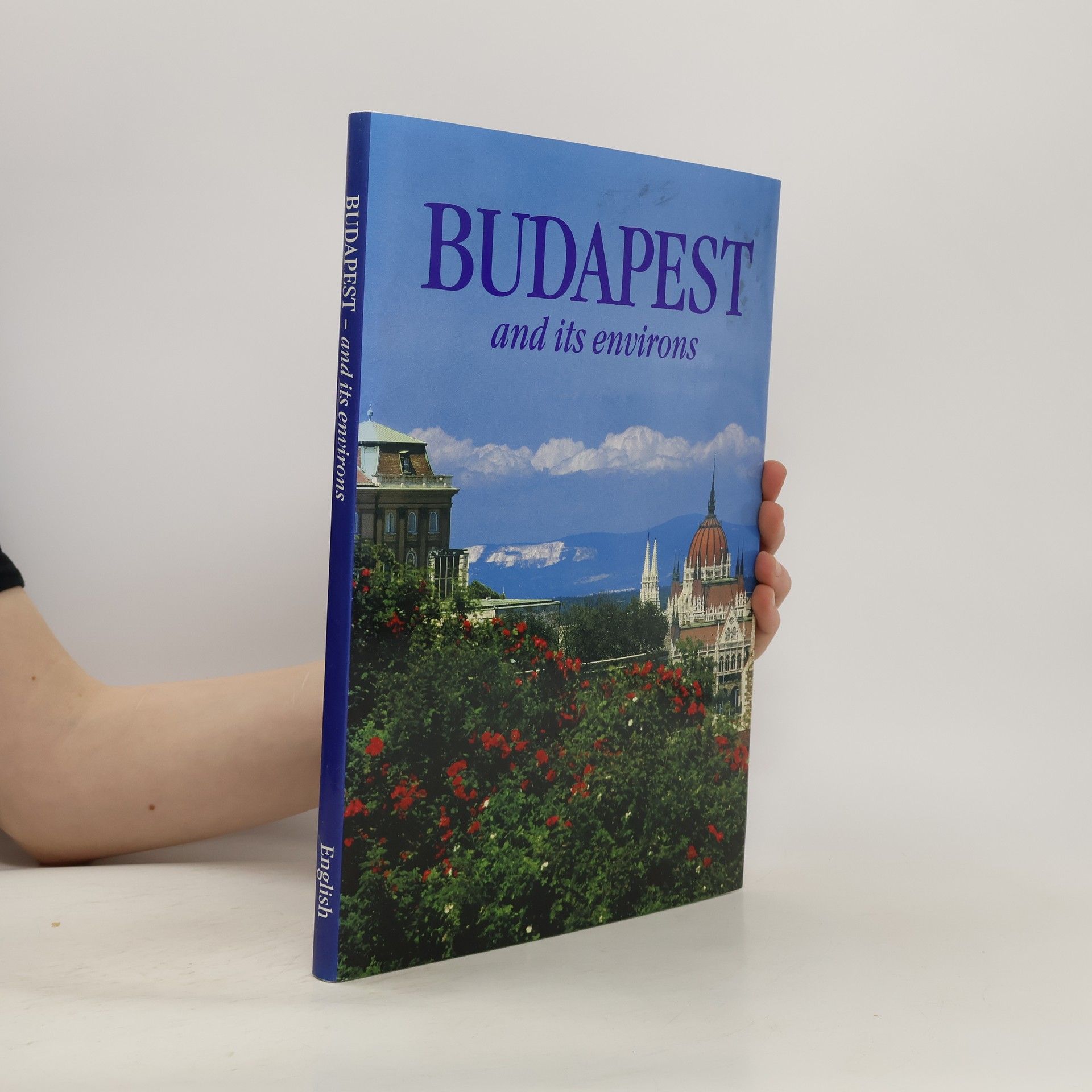 Collective Budapest and its Environs