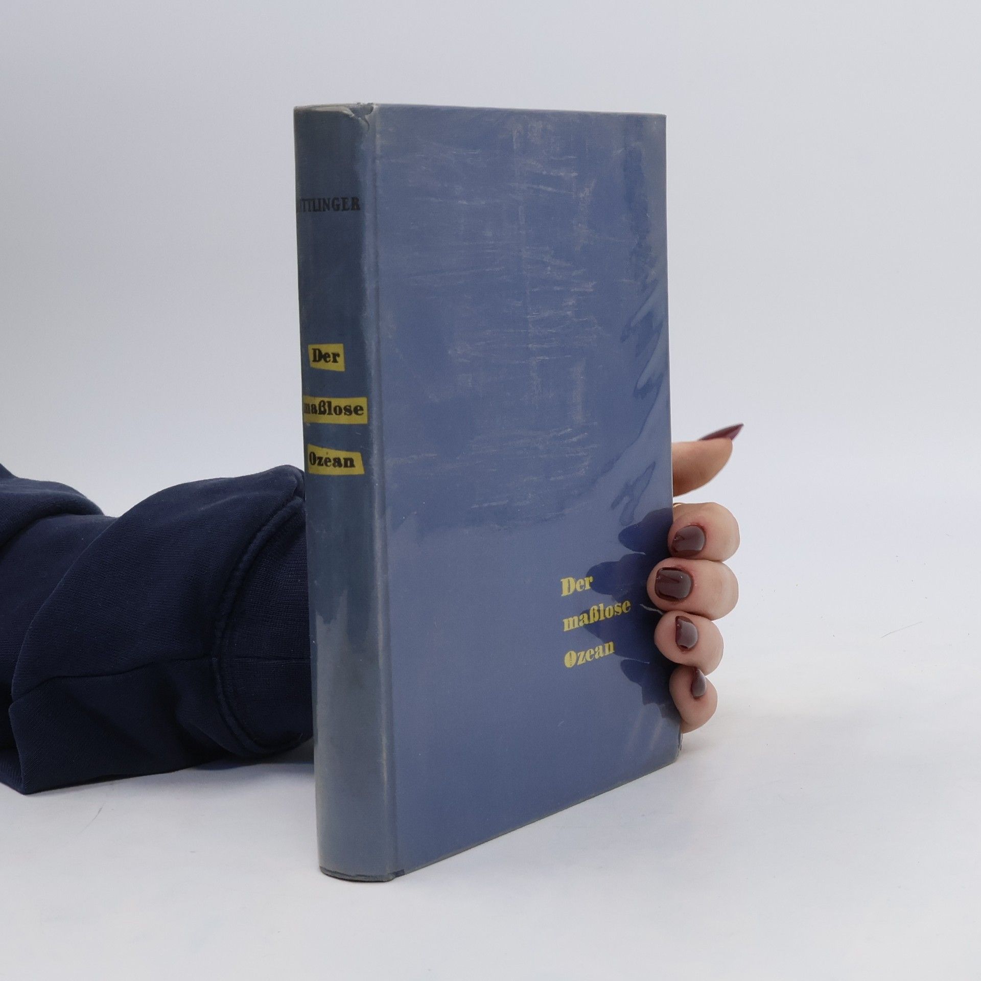Collectif d'auteurs Der maßlose Ozean